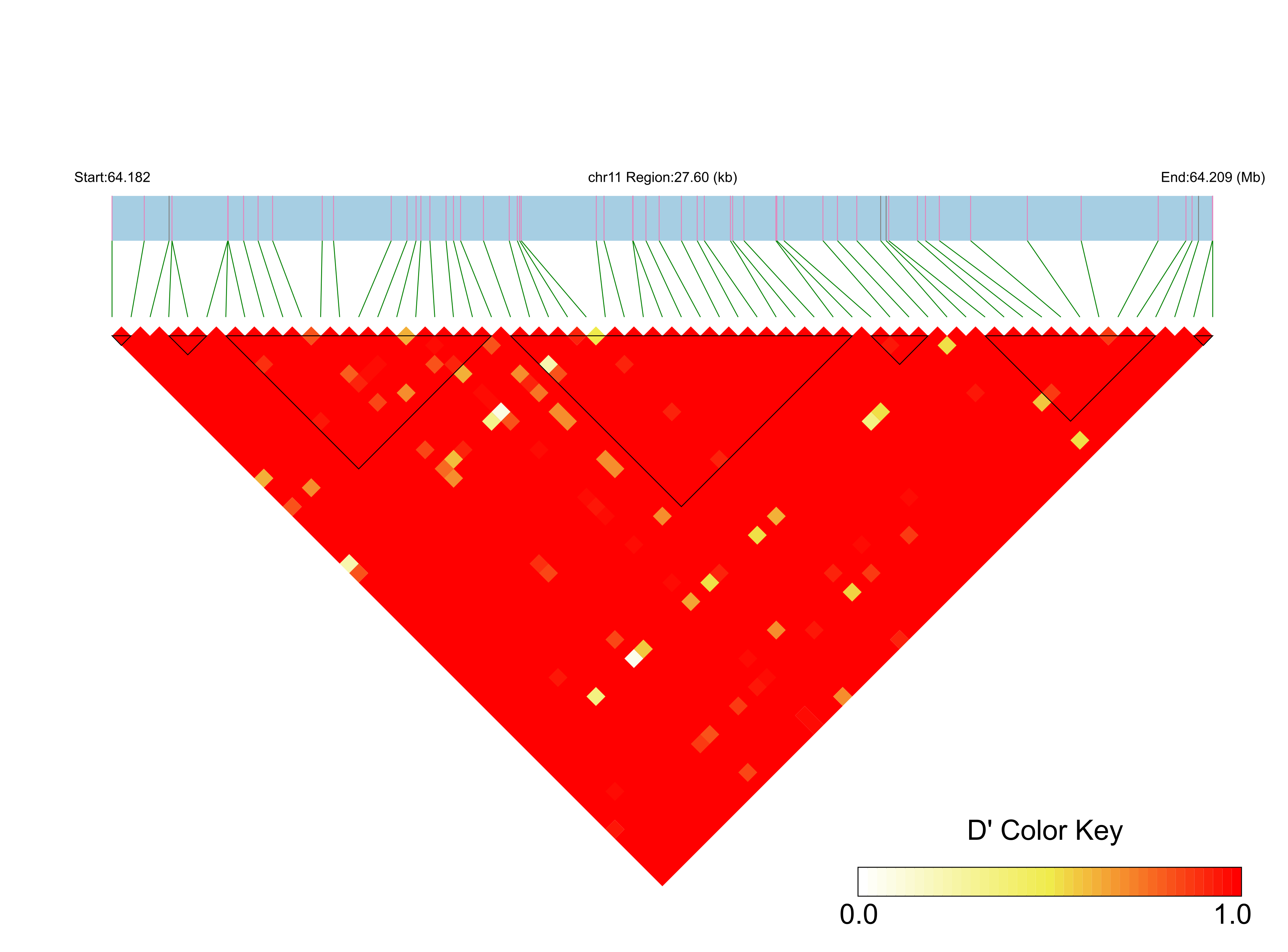 LD