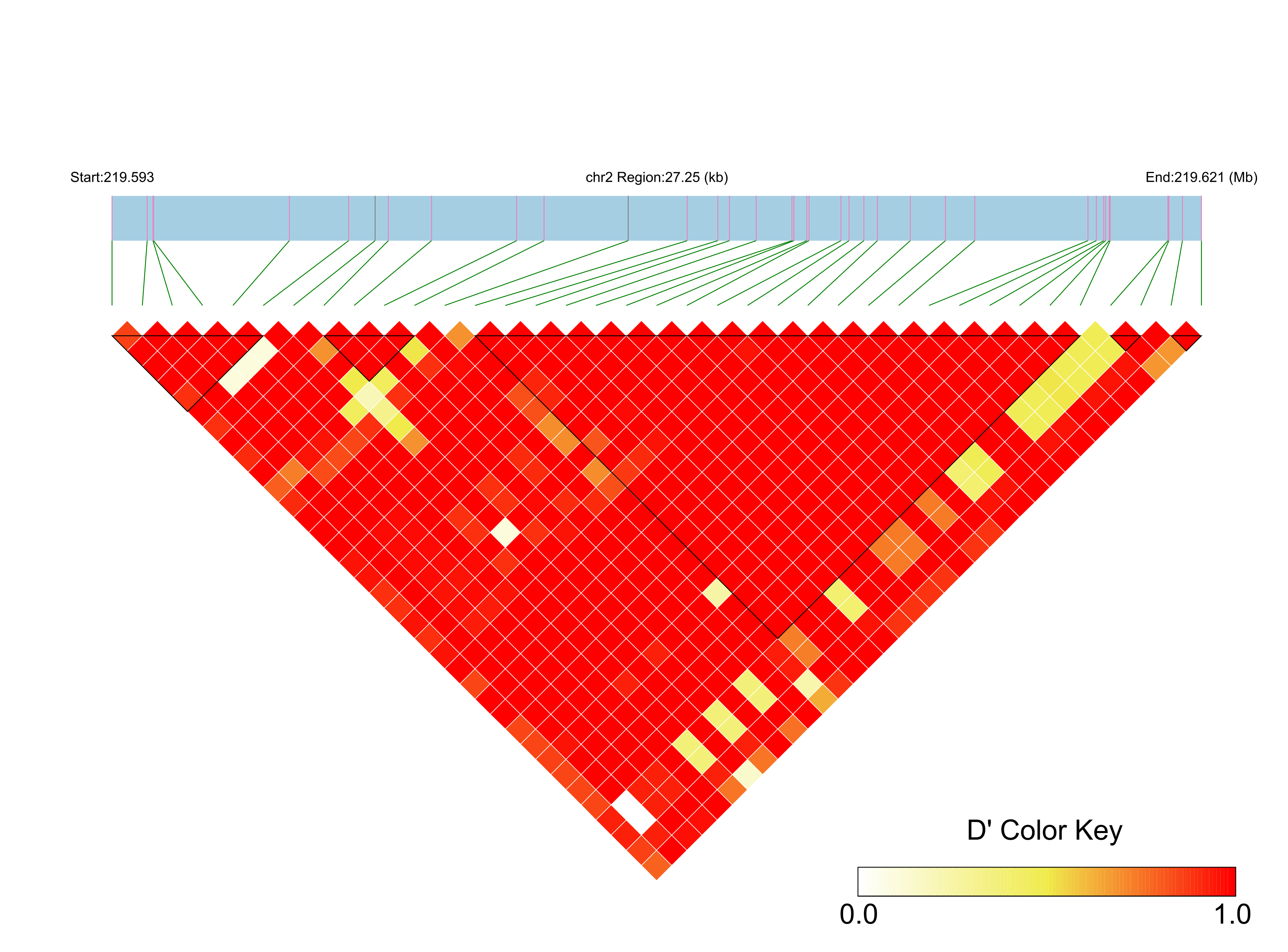 LD