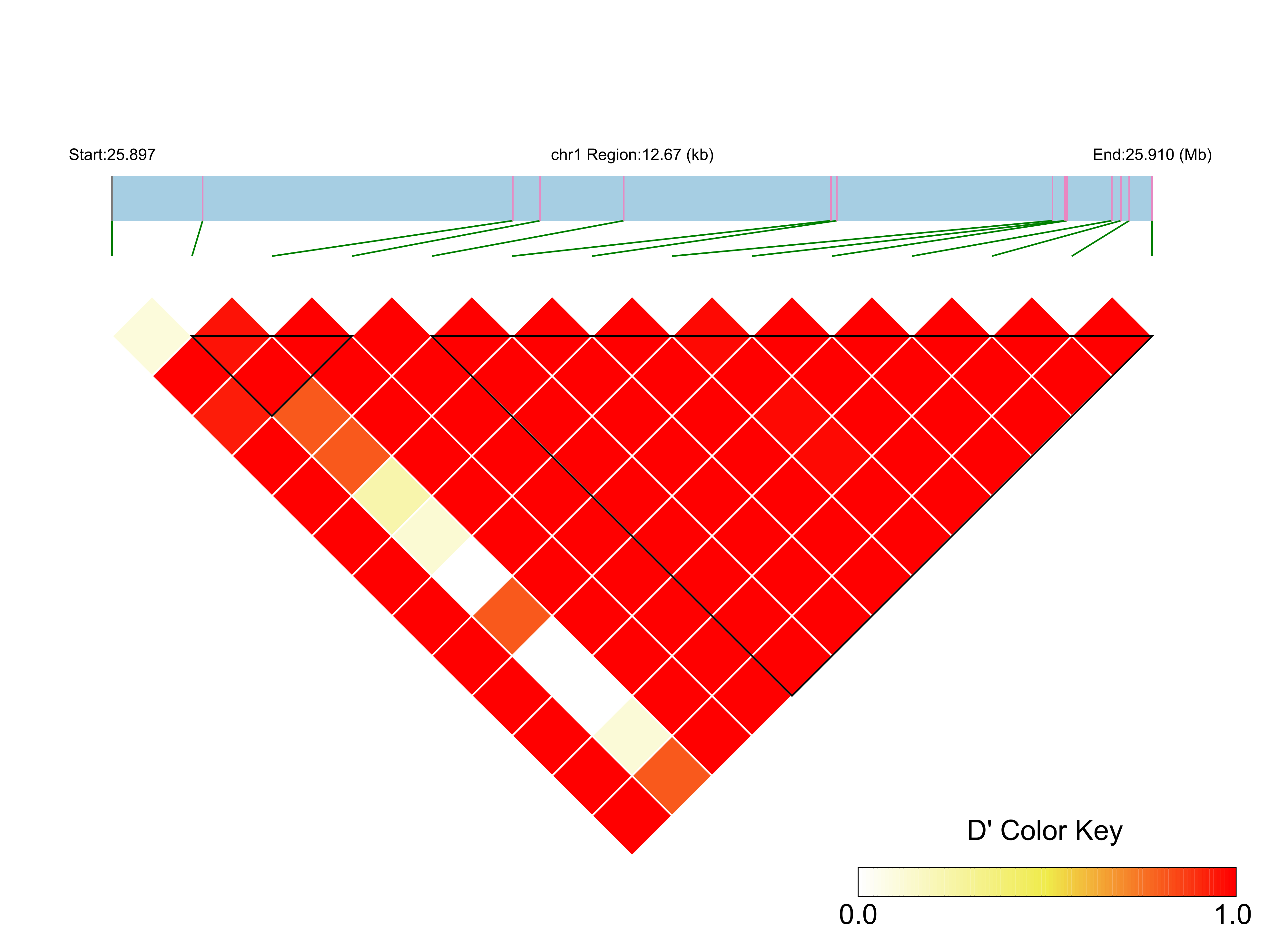 LD