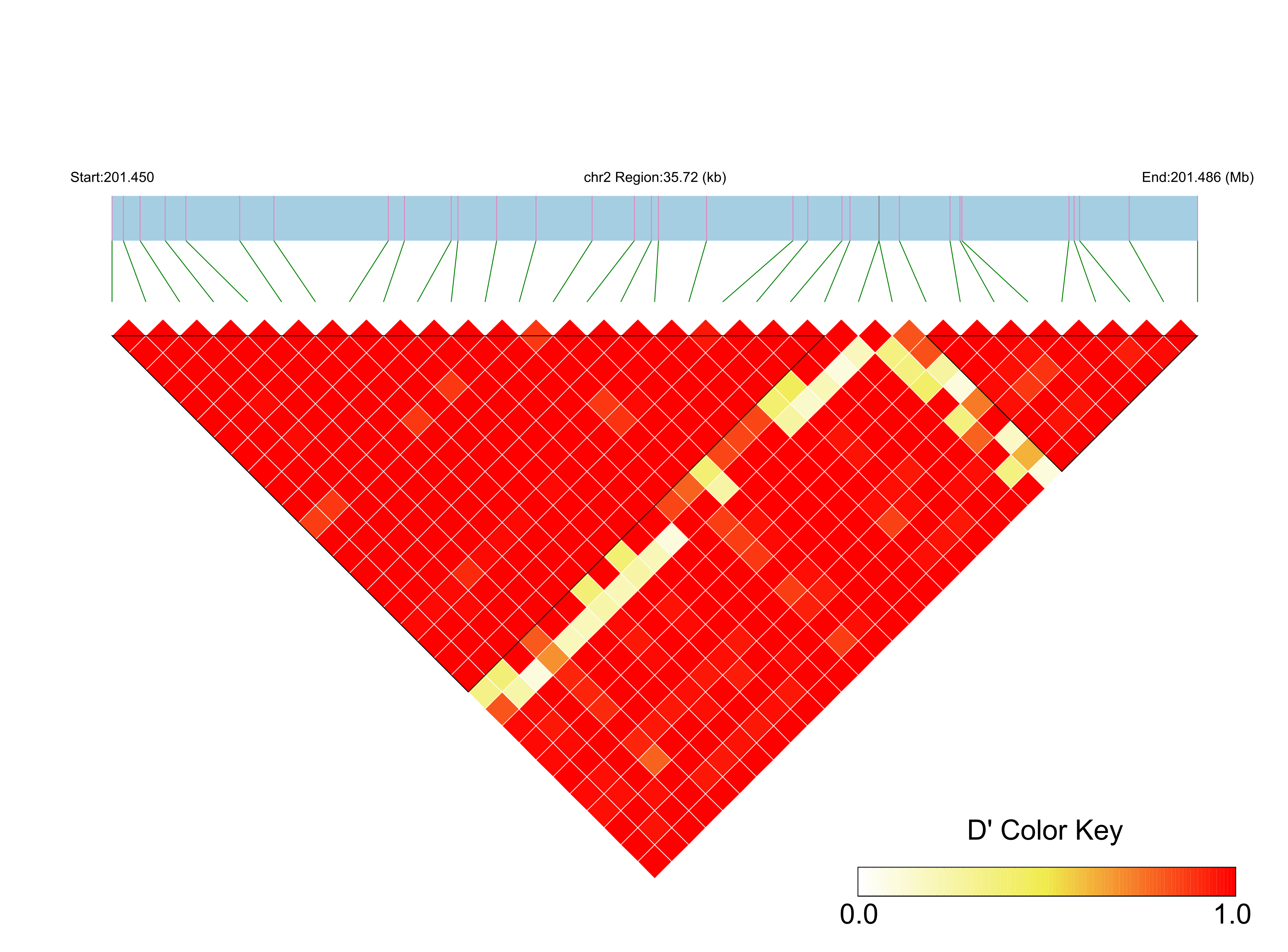 LD