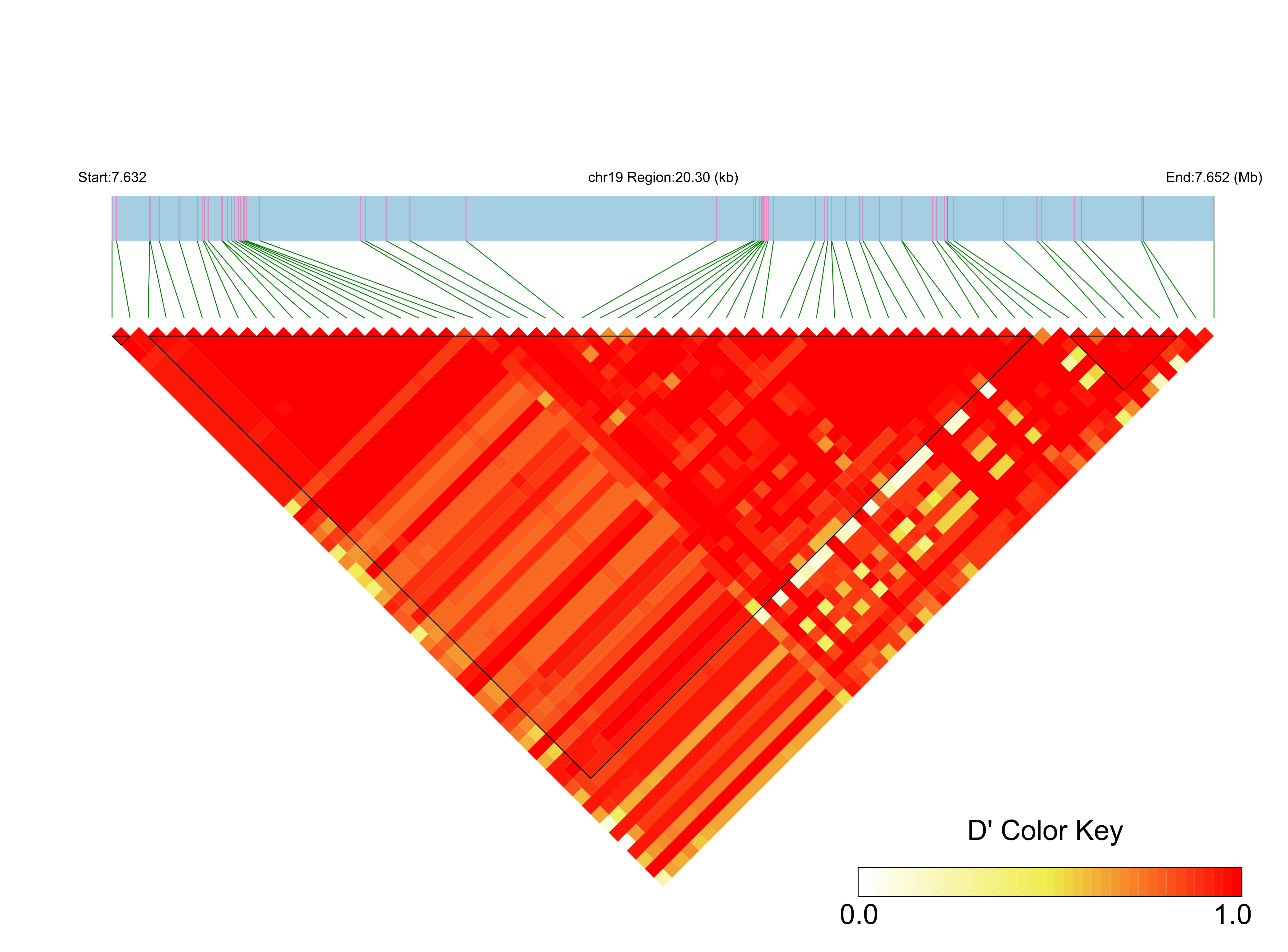 LD