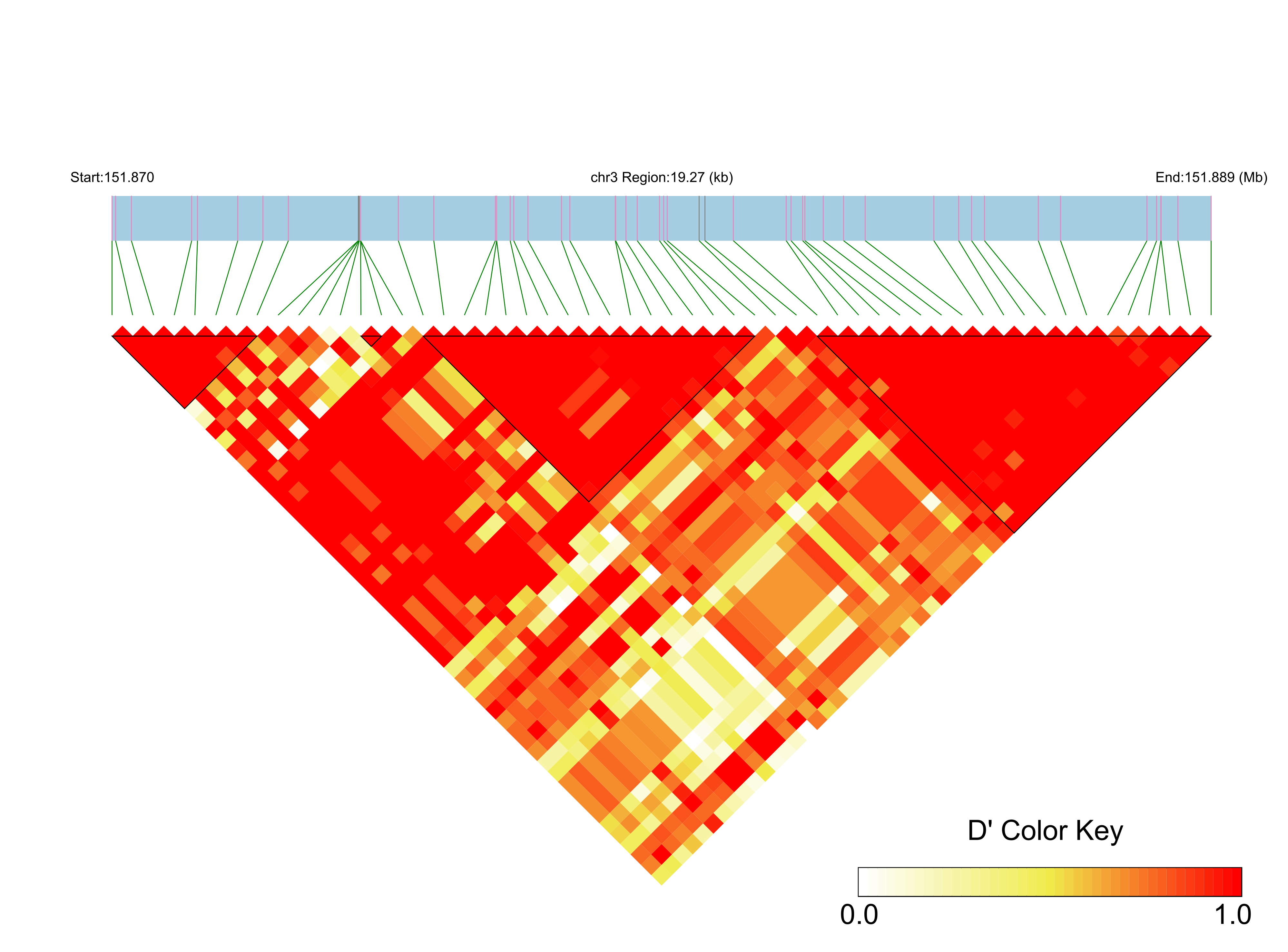 LD