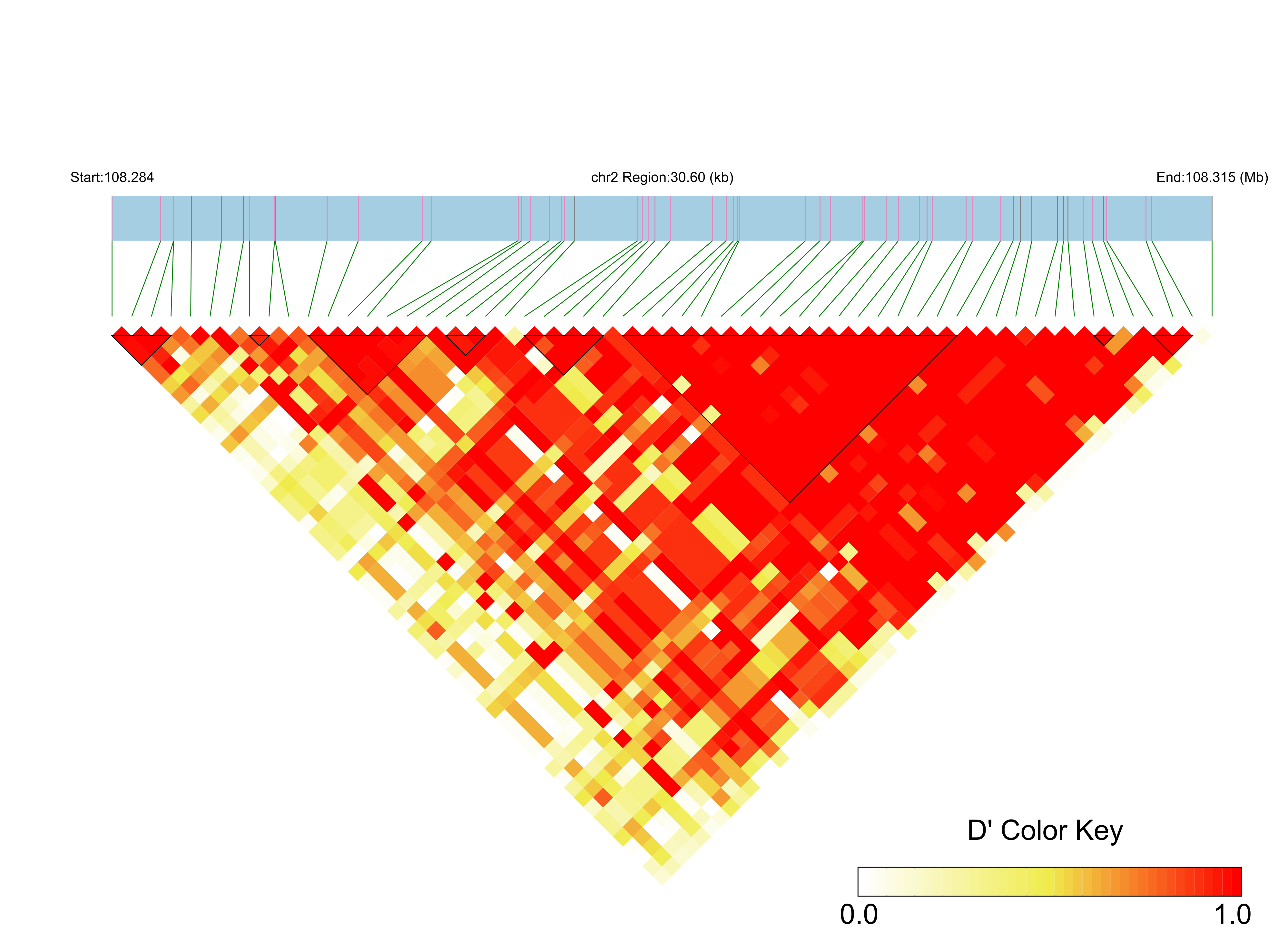 LD