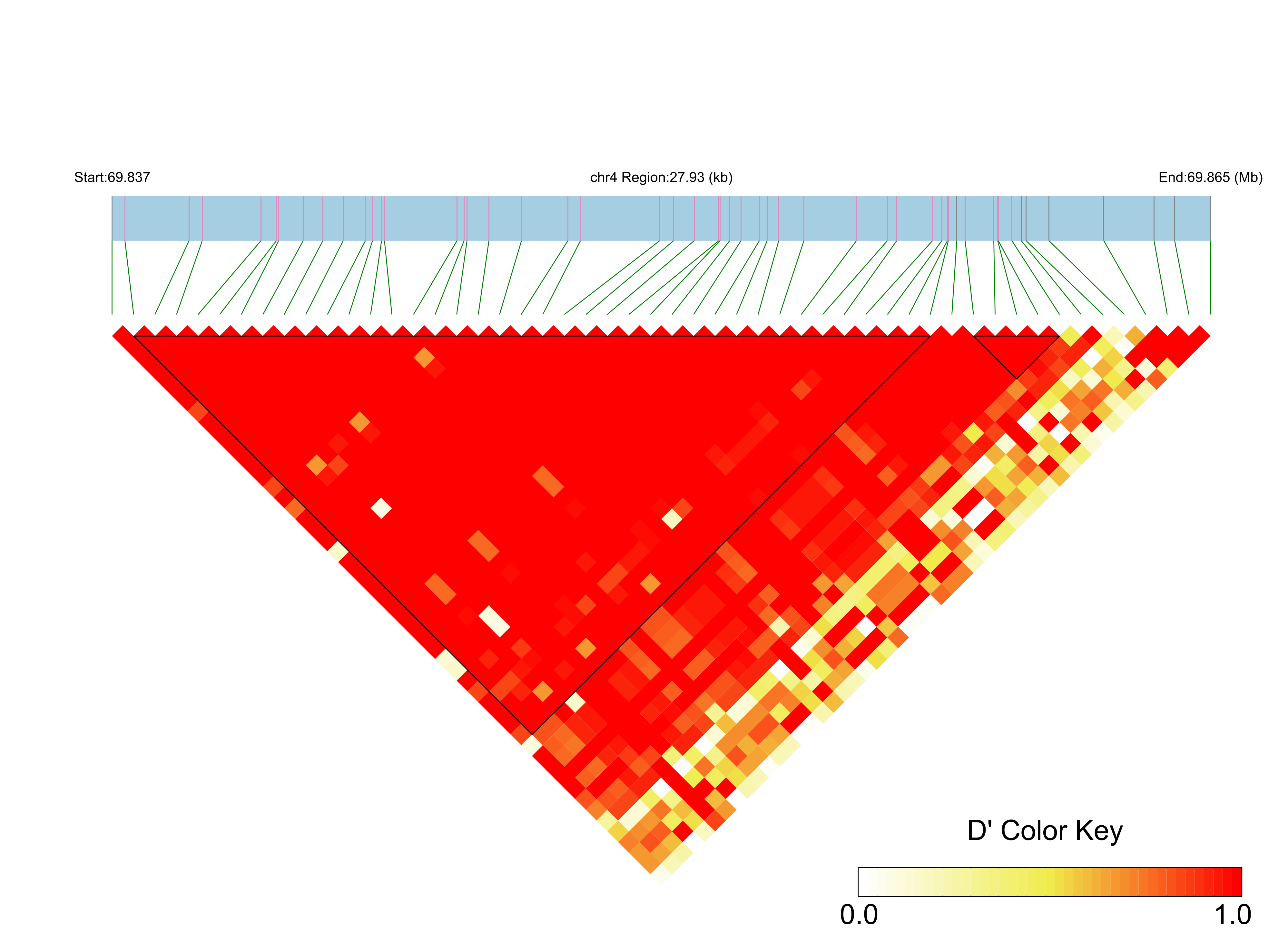 LD
