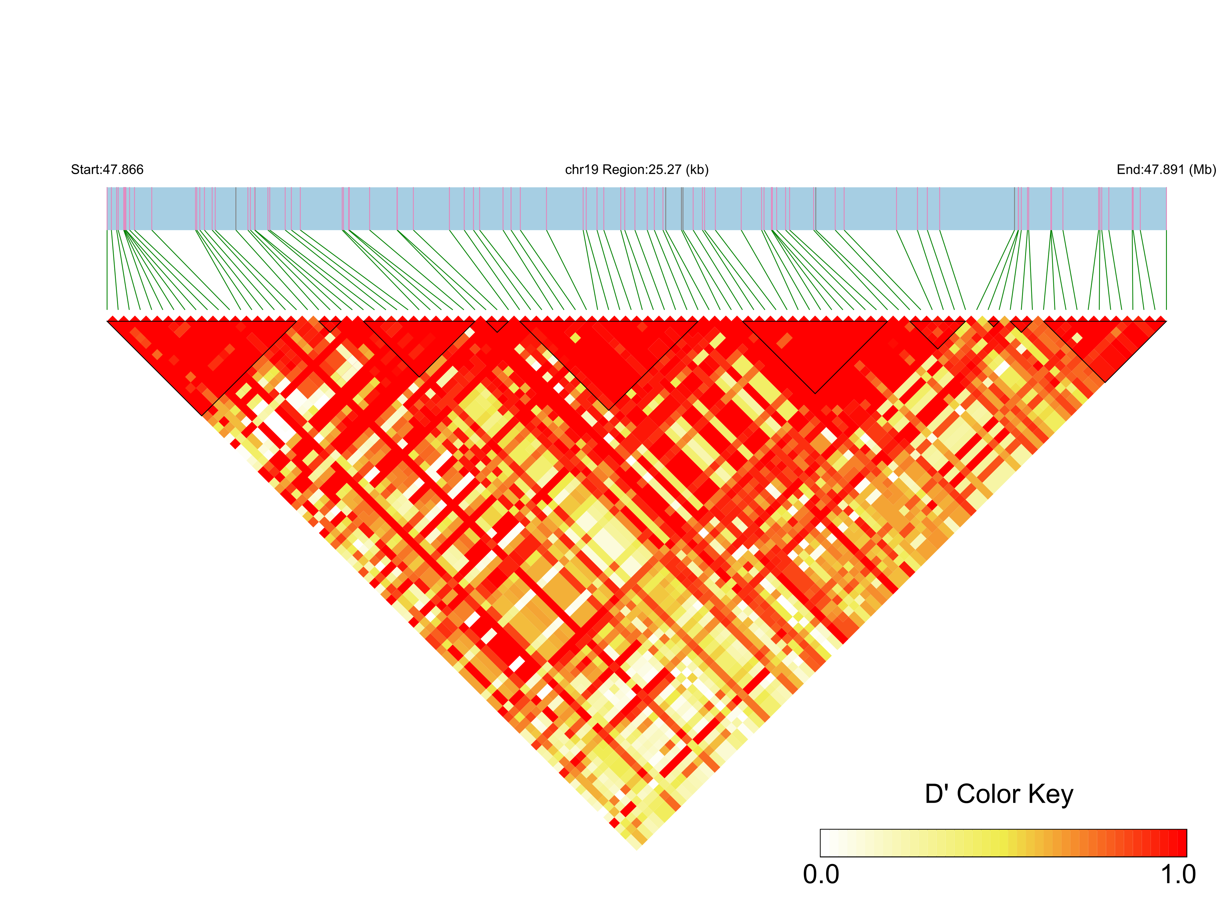 LD