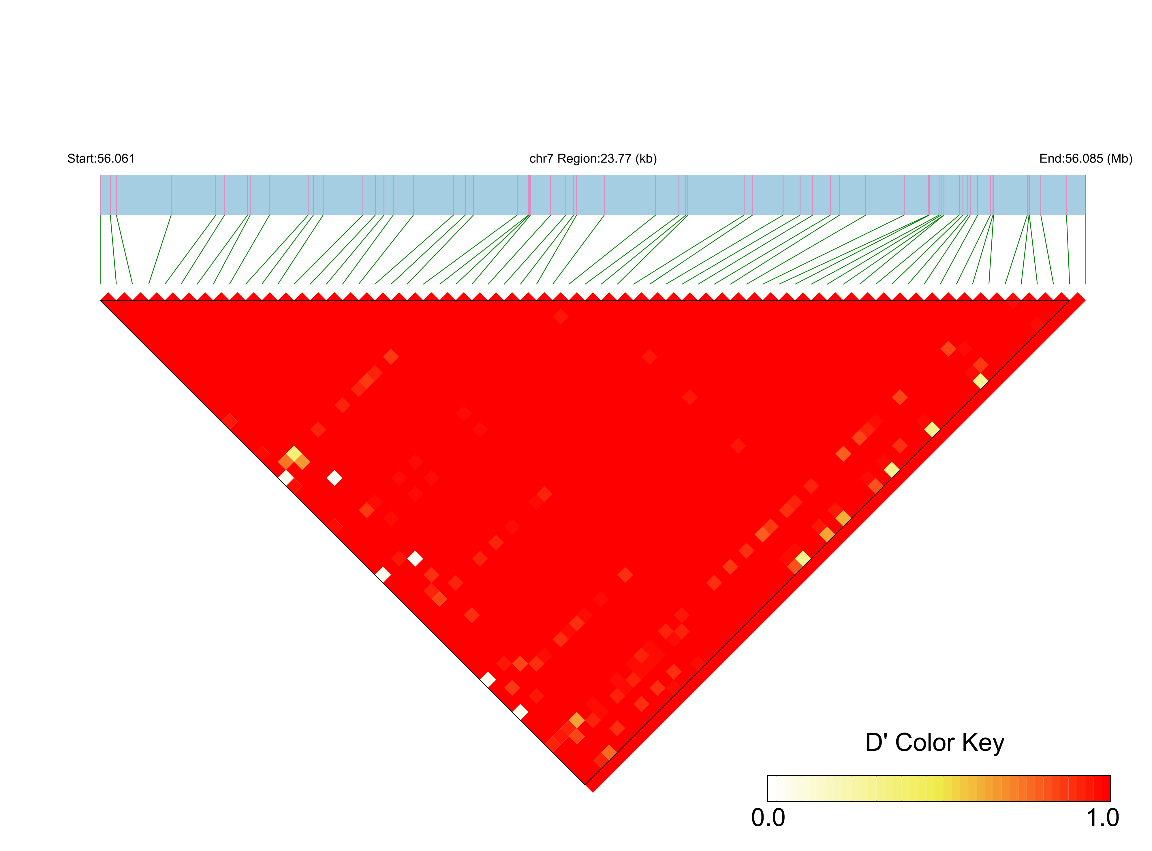 LD