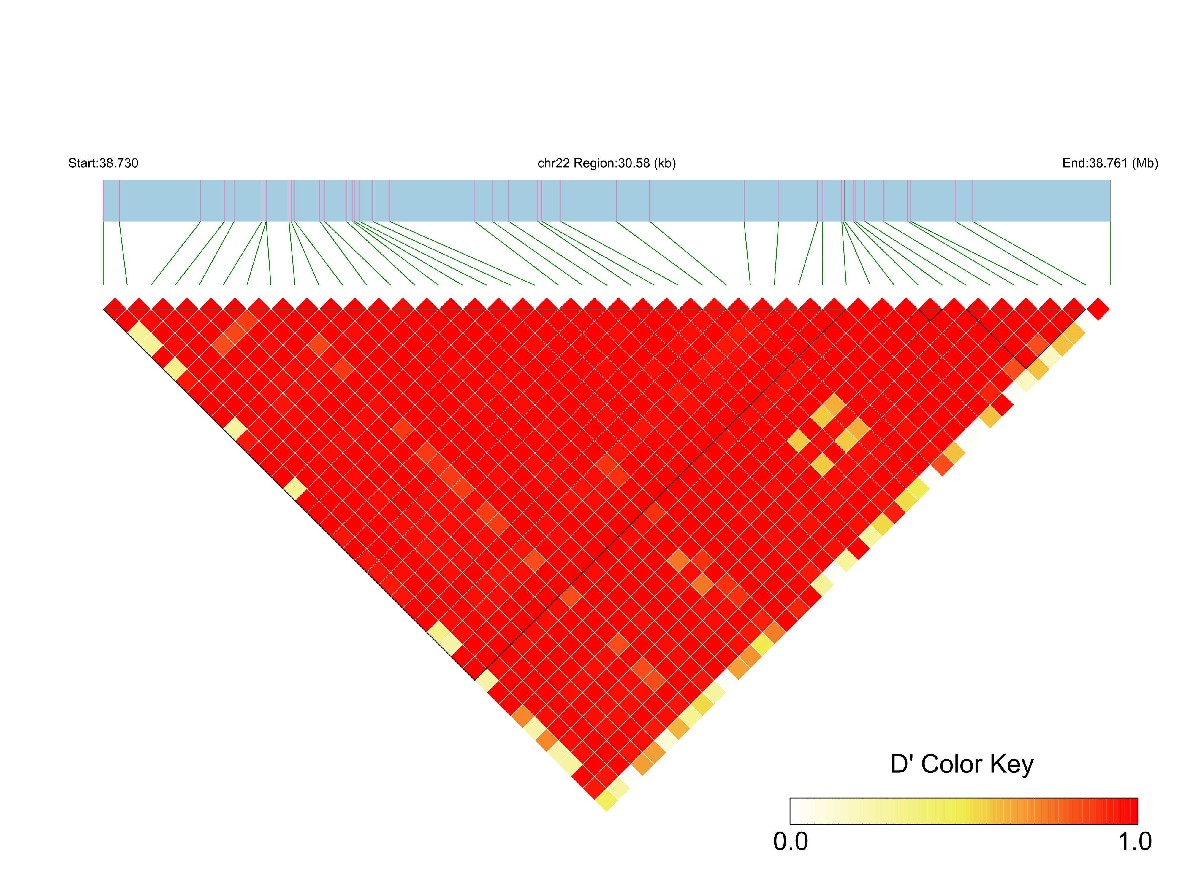 LD