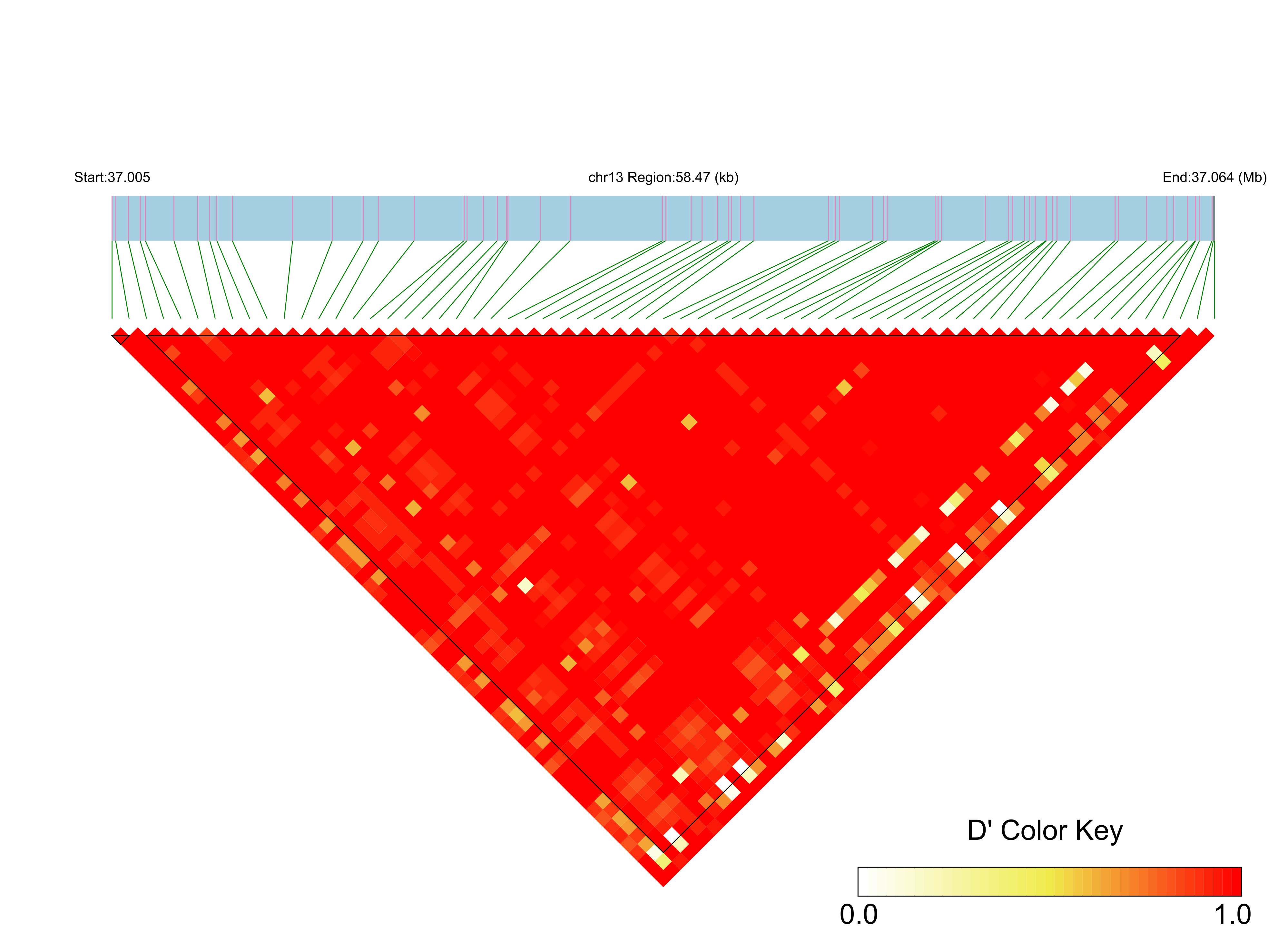 LD