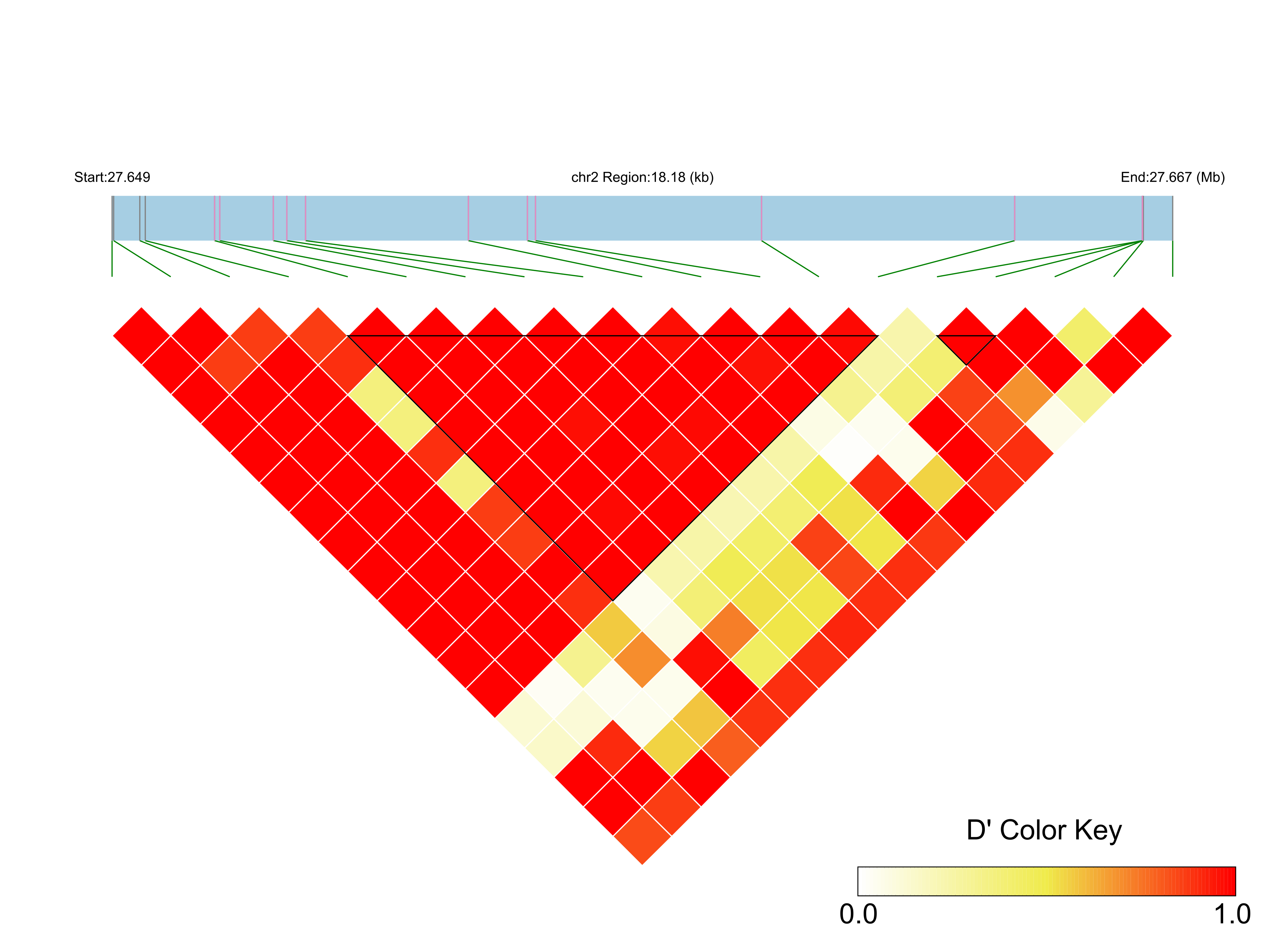 LD