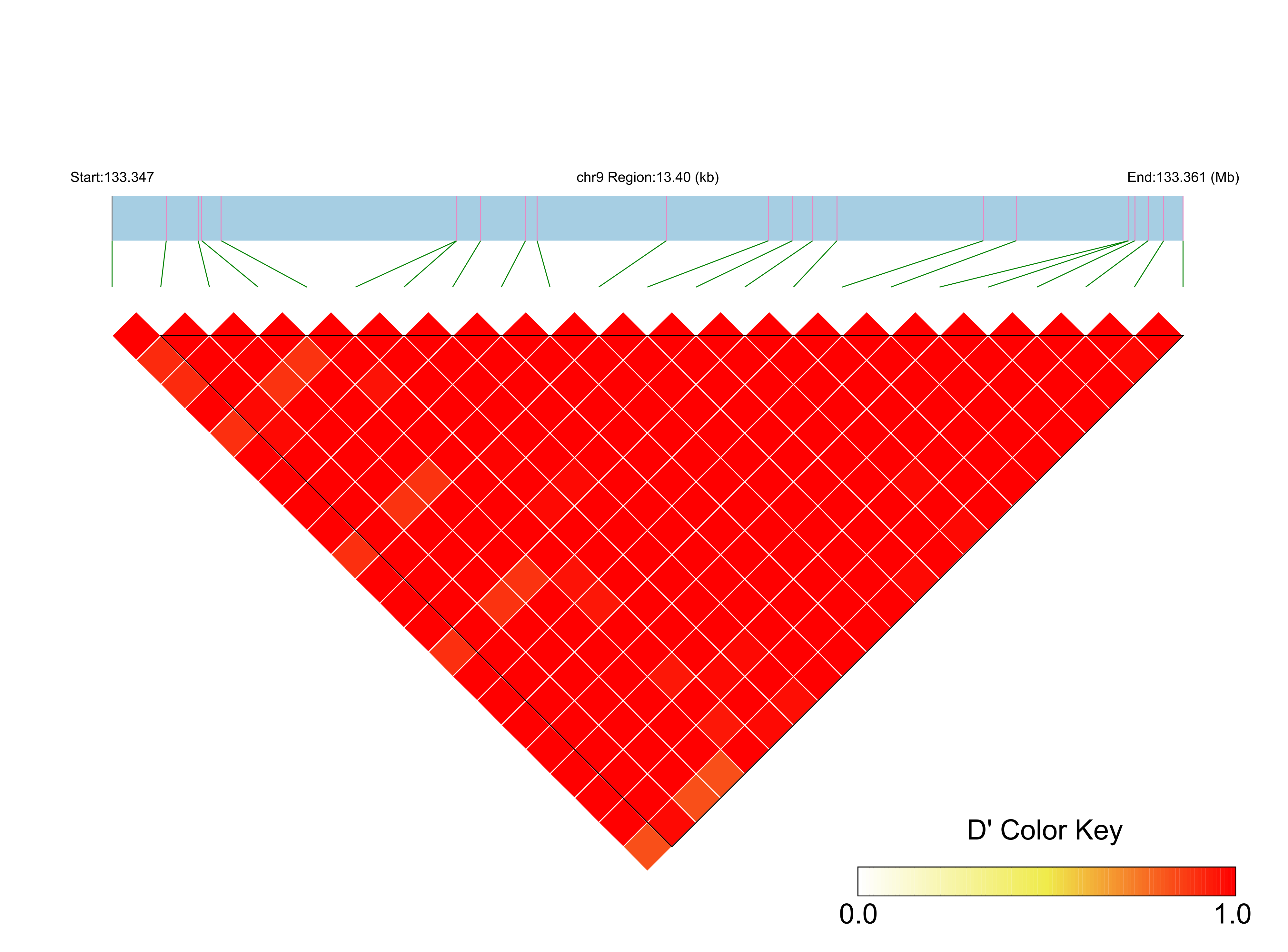 LD