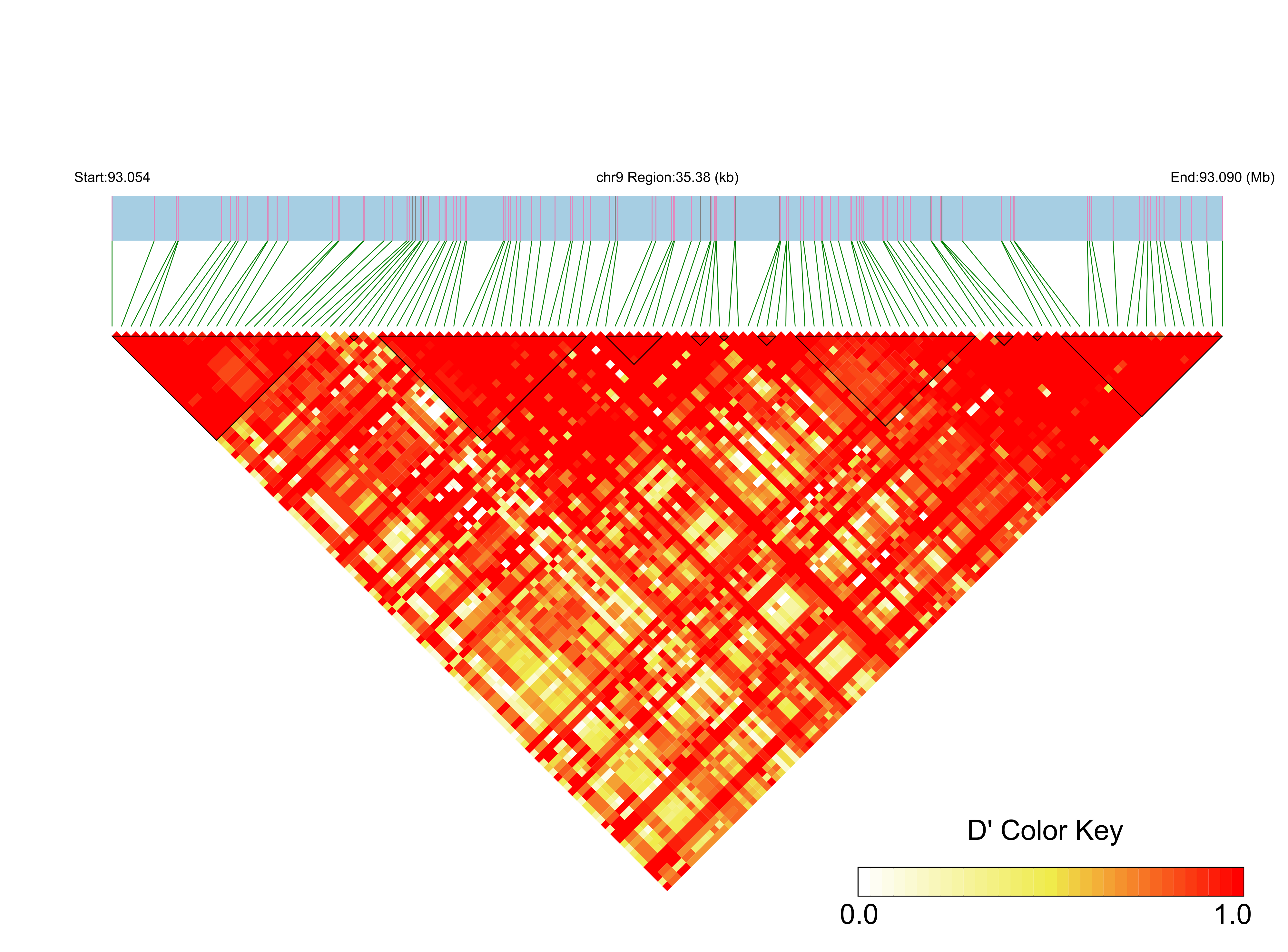 LD