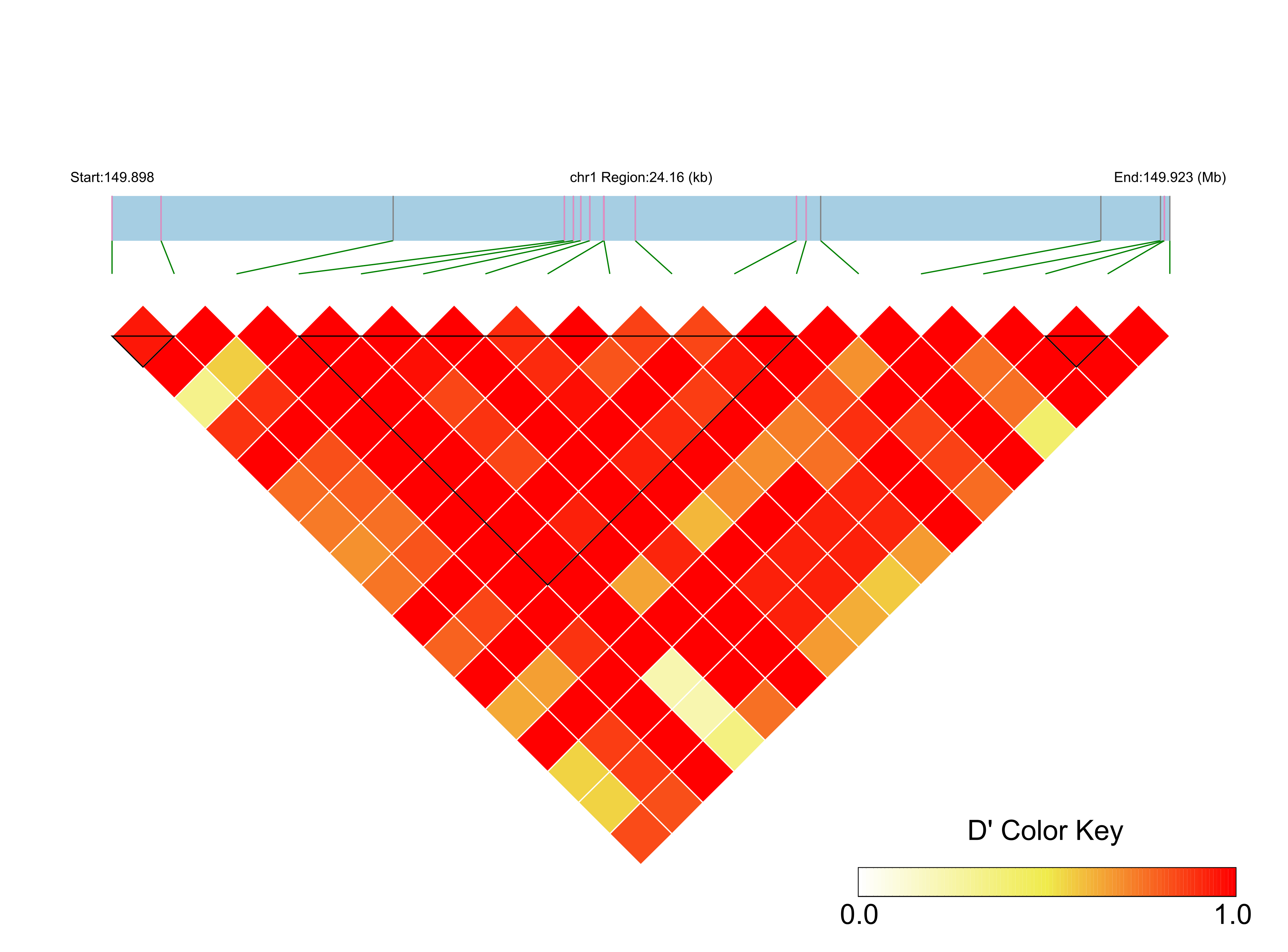 LD