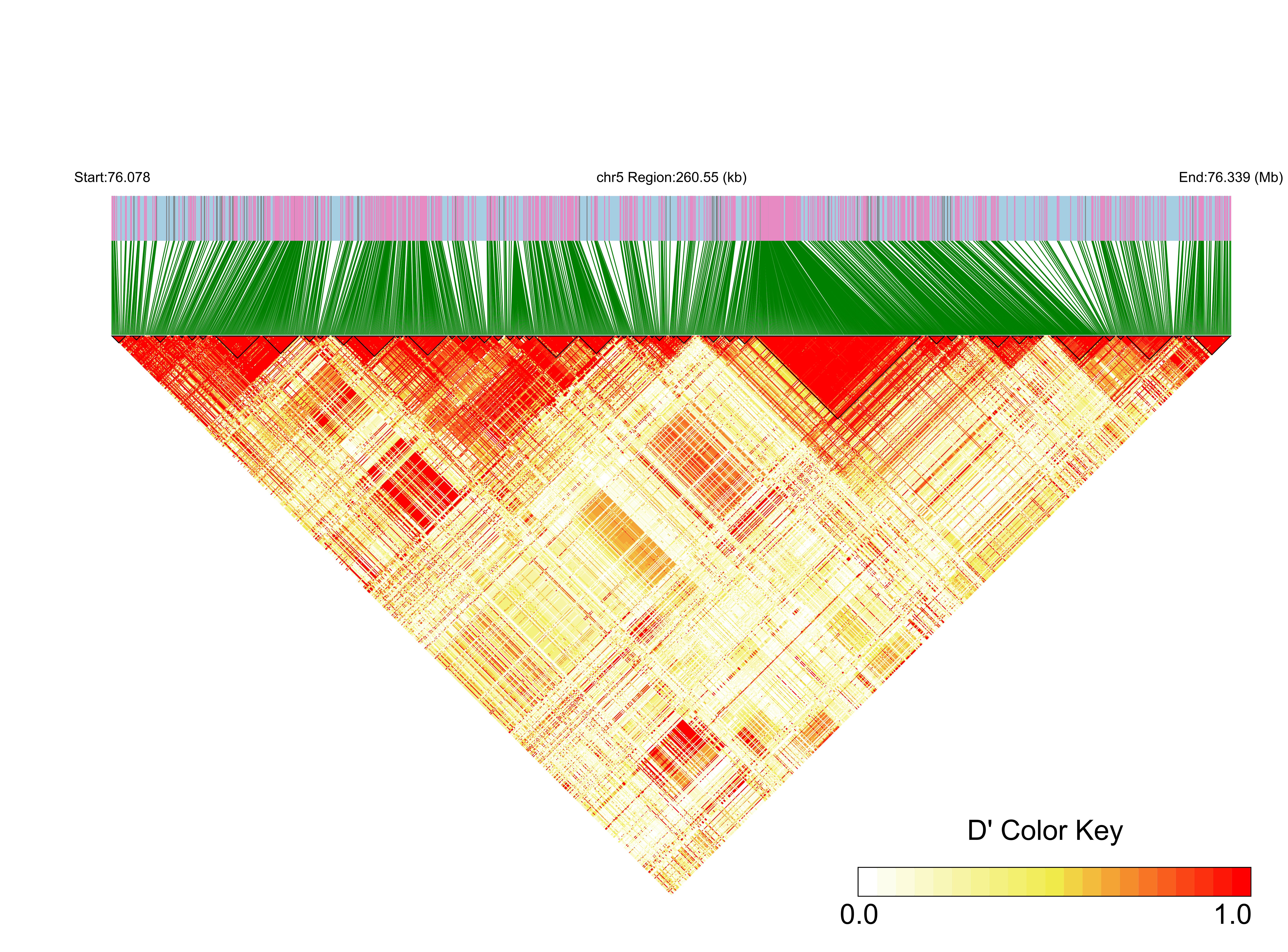 LD
