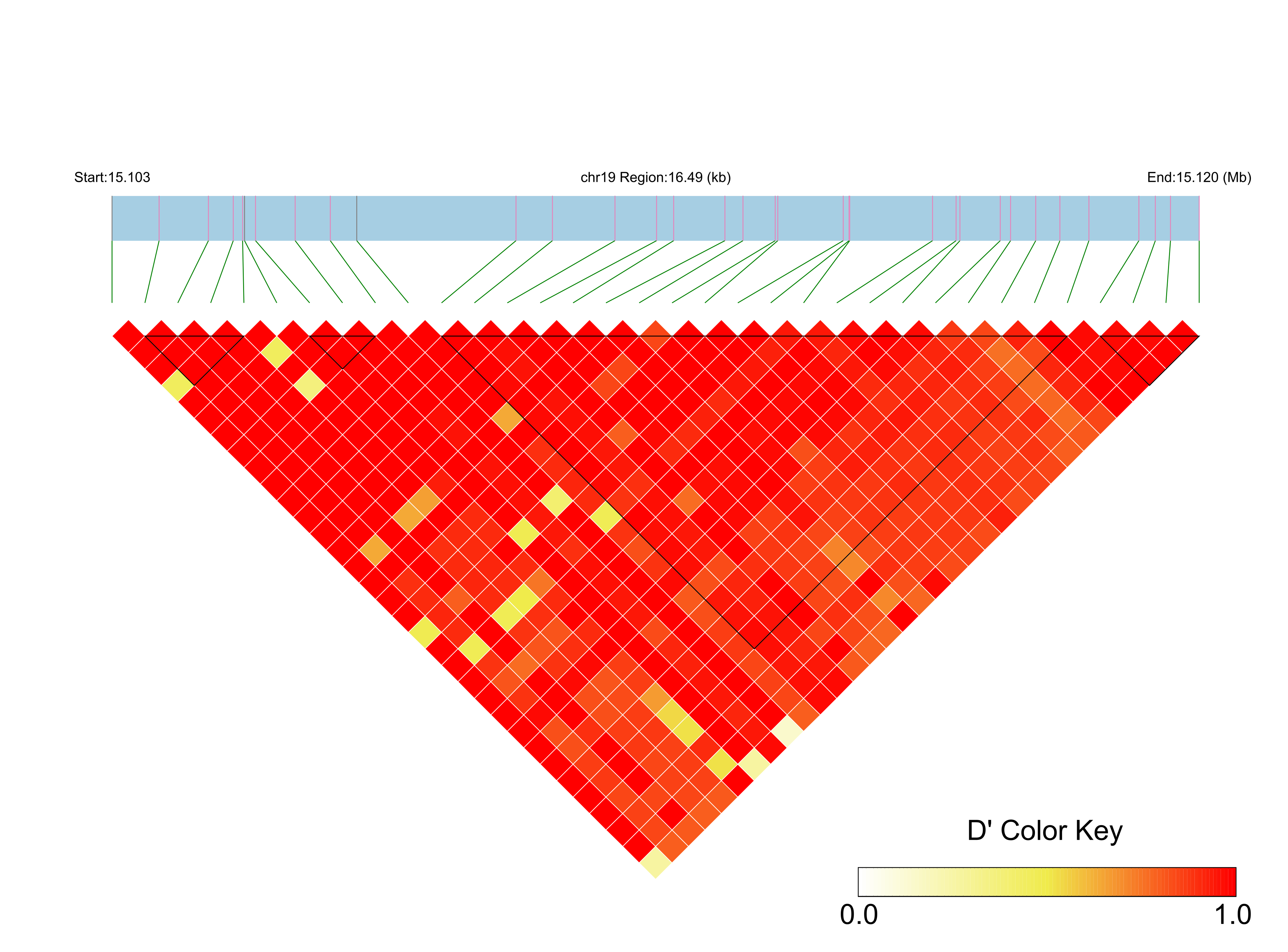 LD