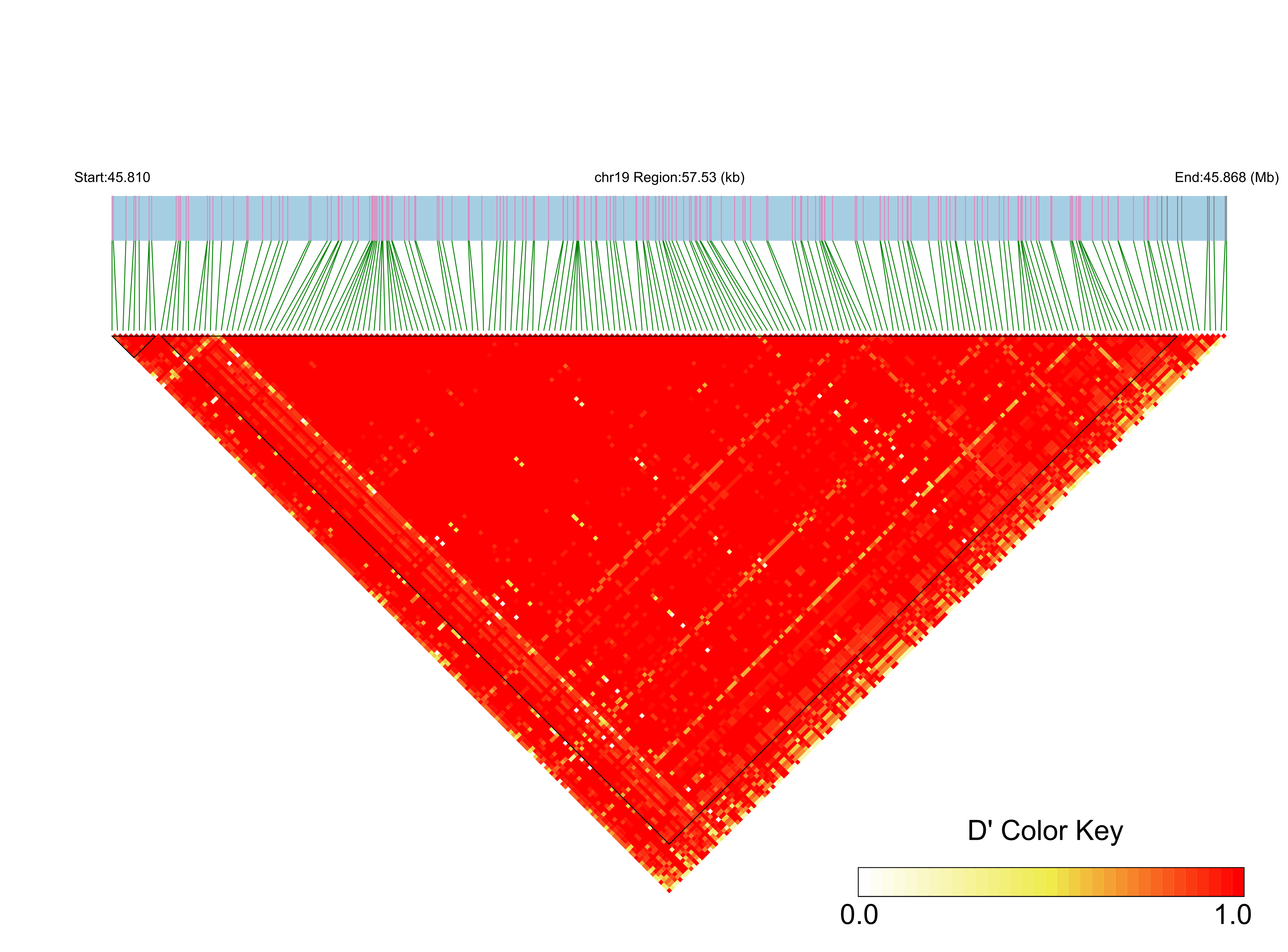 LD