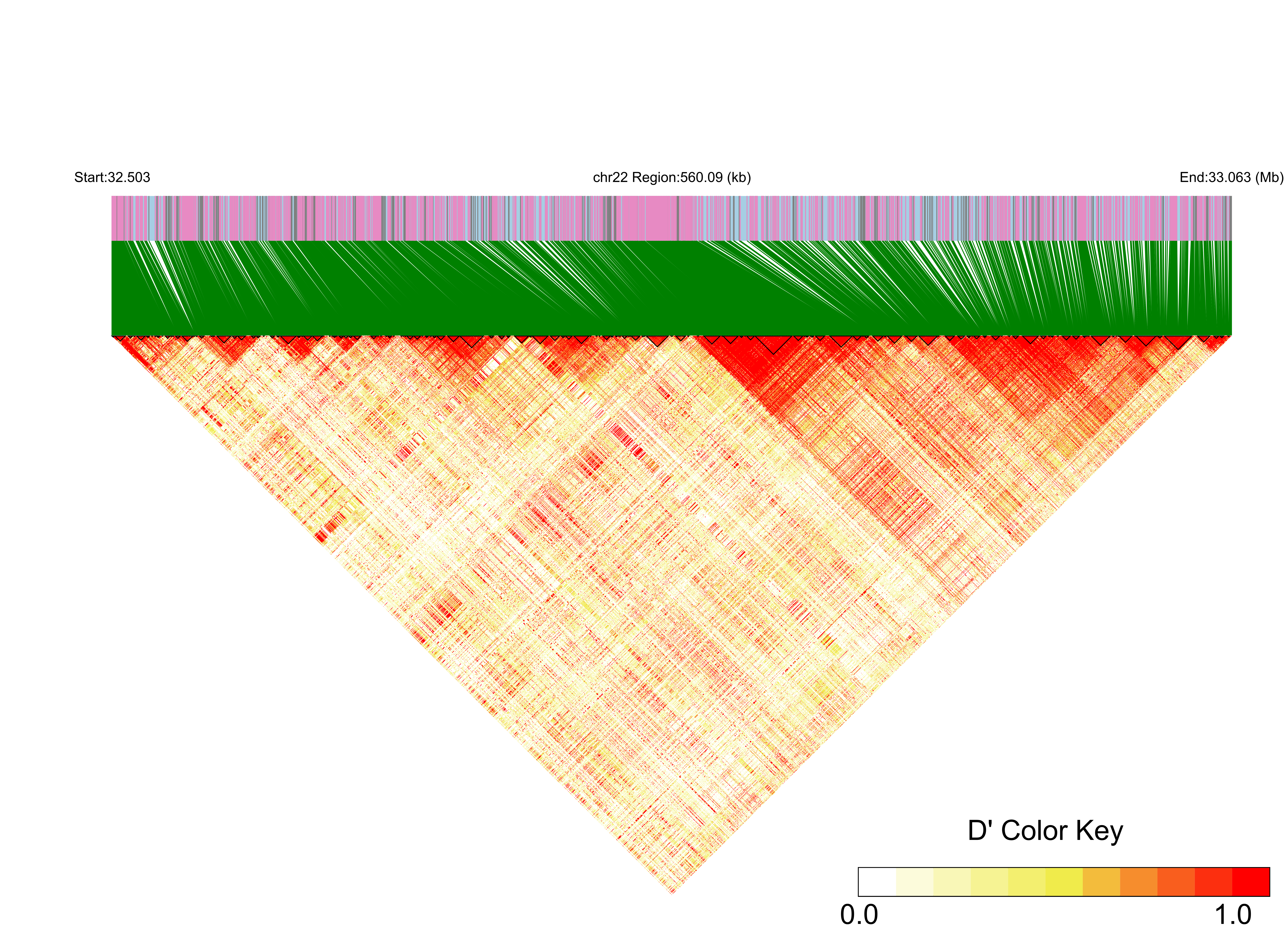 LD