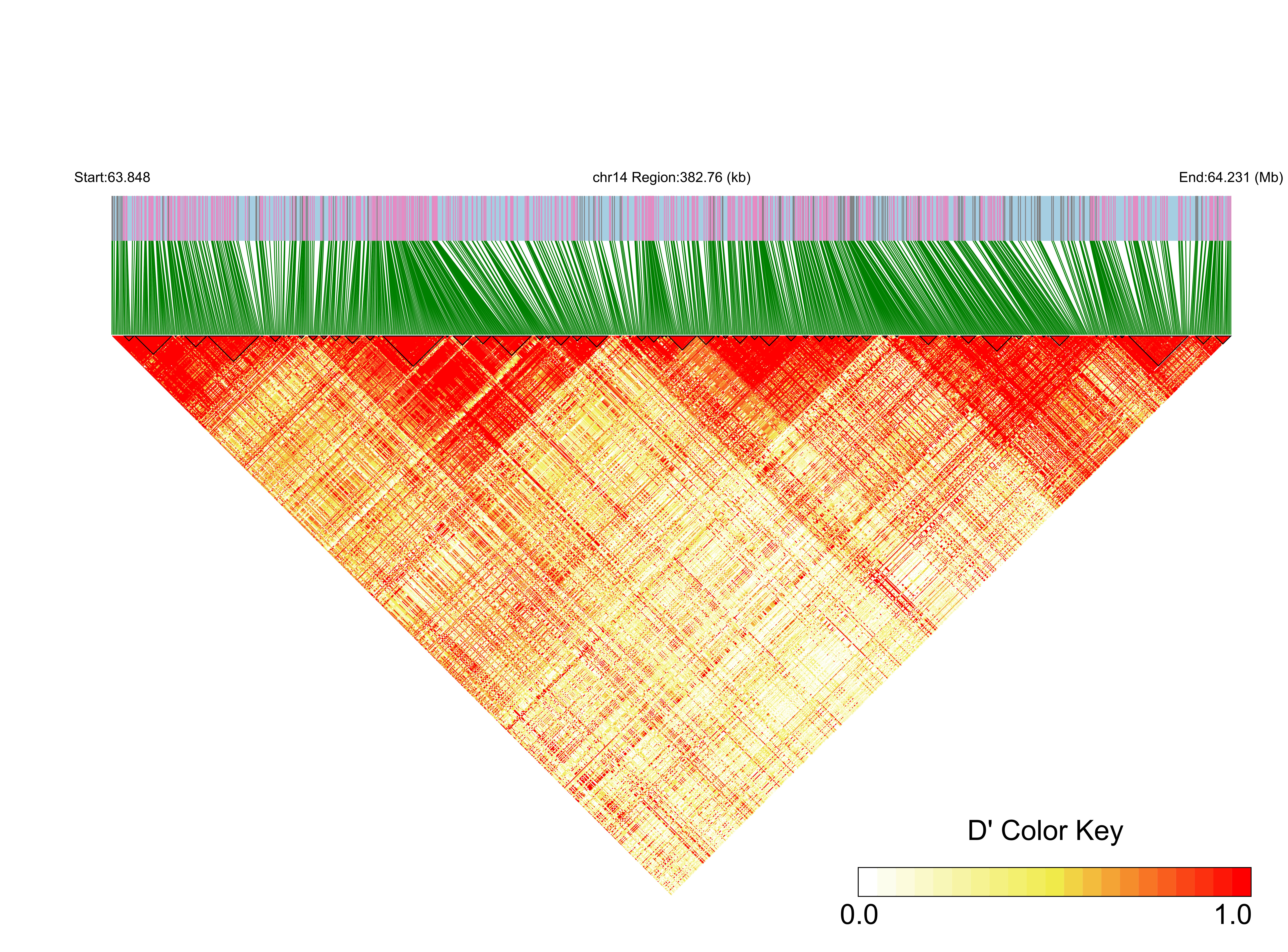 LD