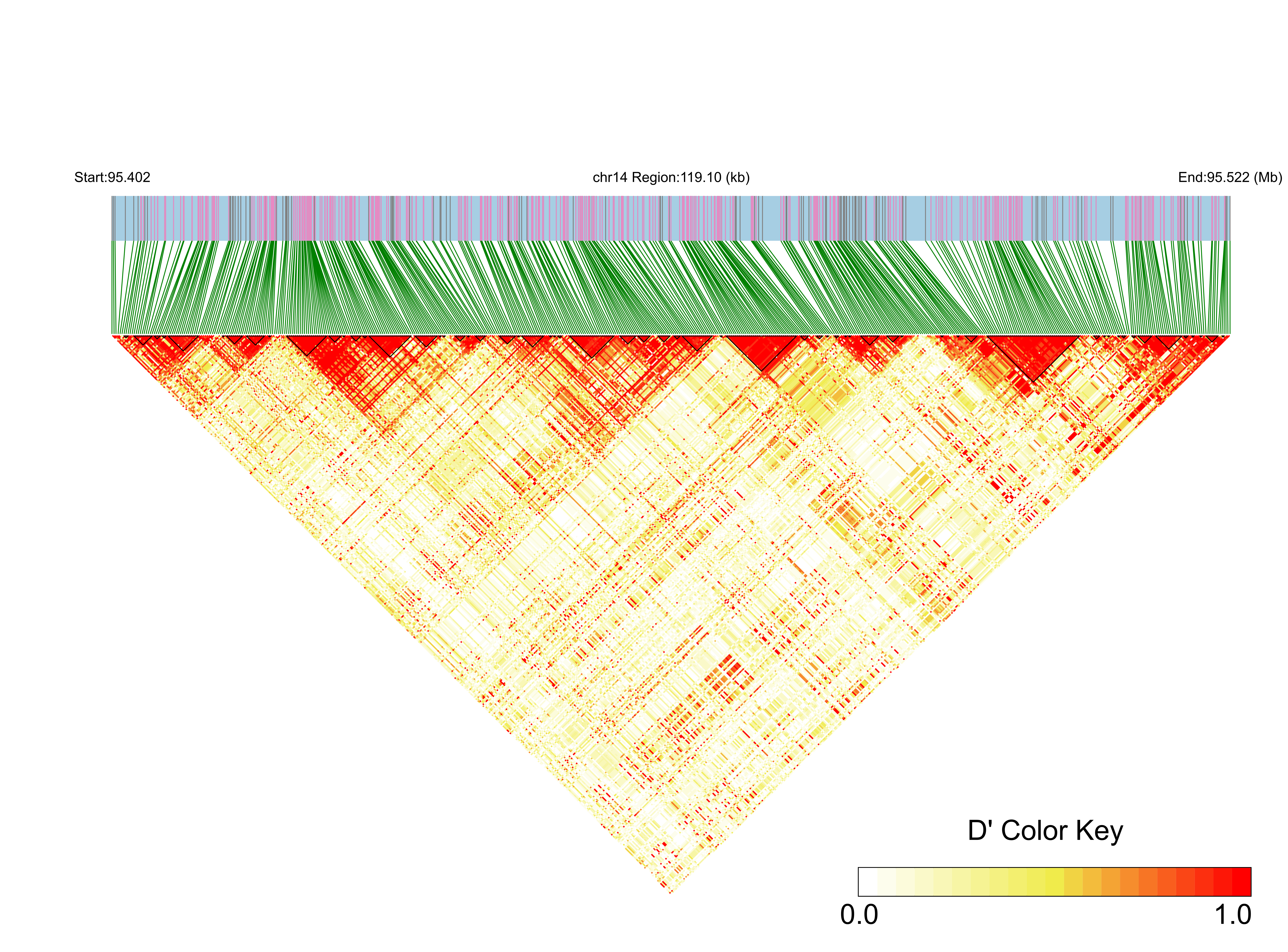 LD