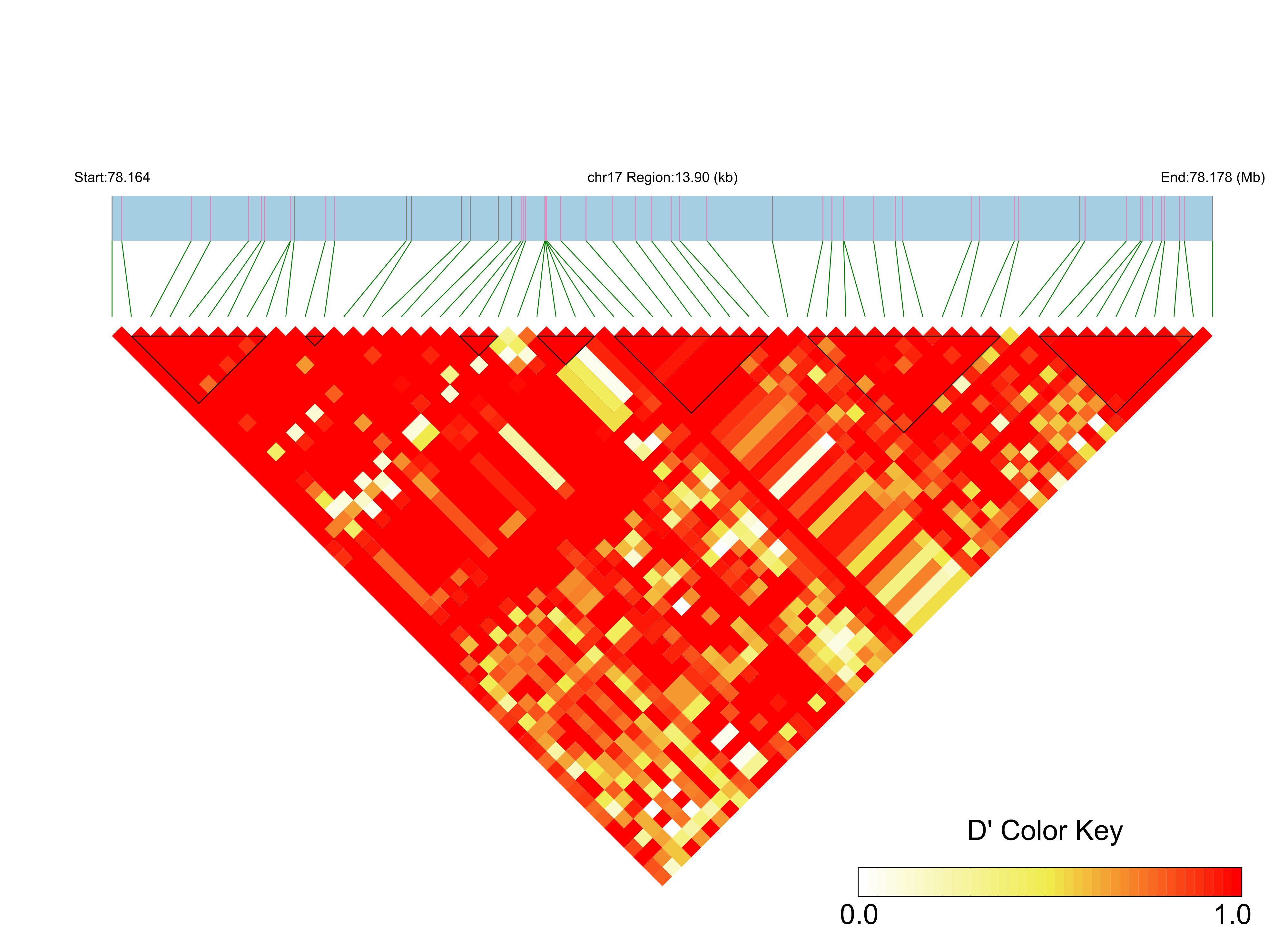 LD