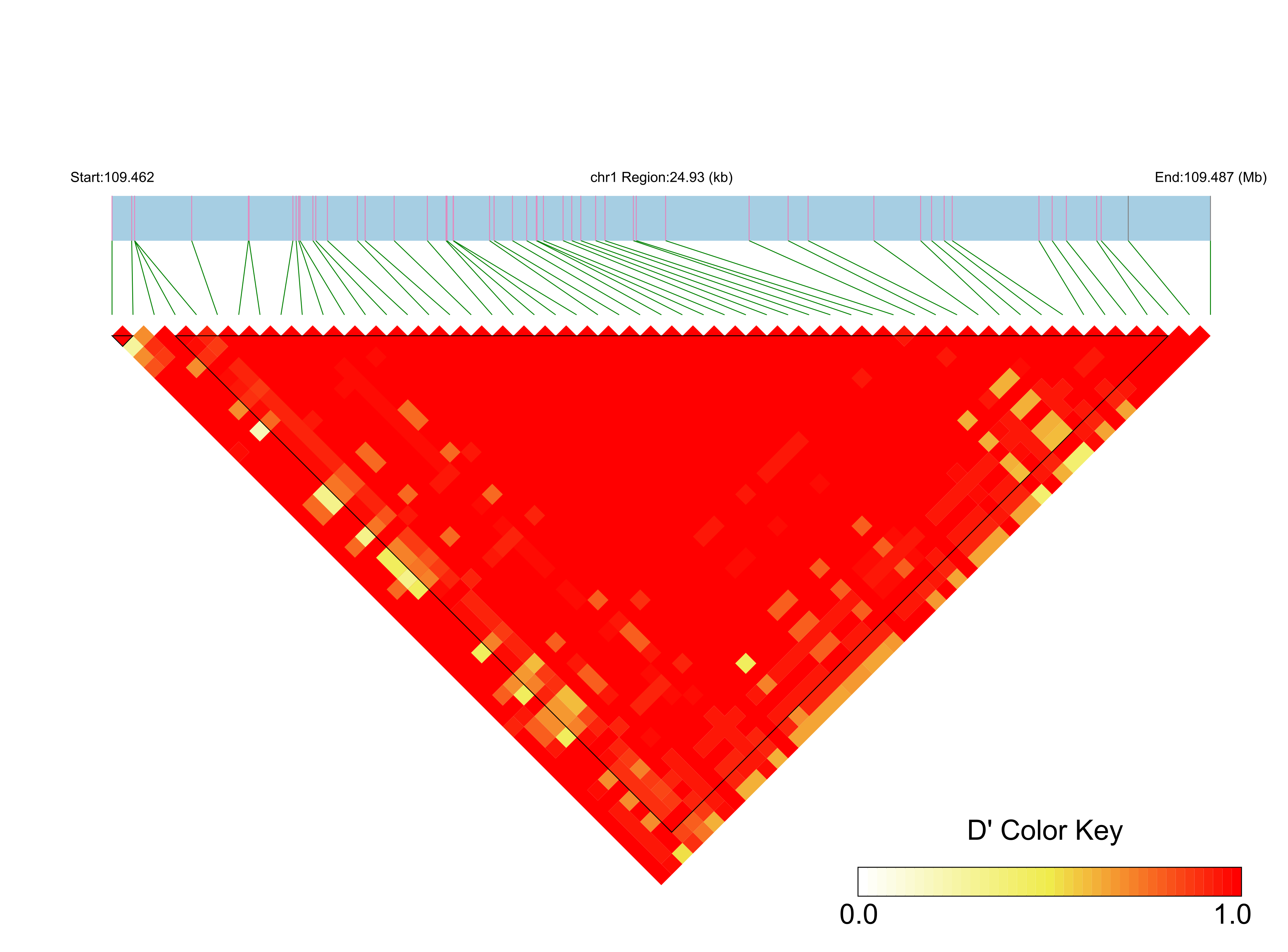LD