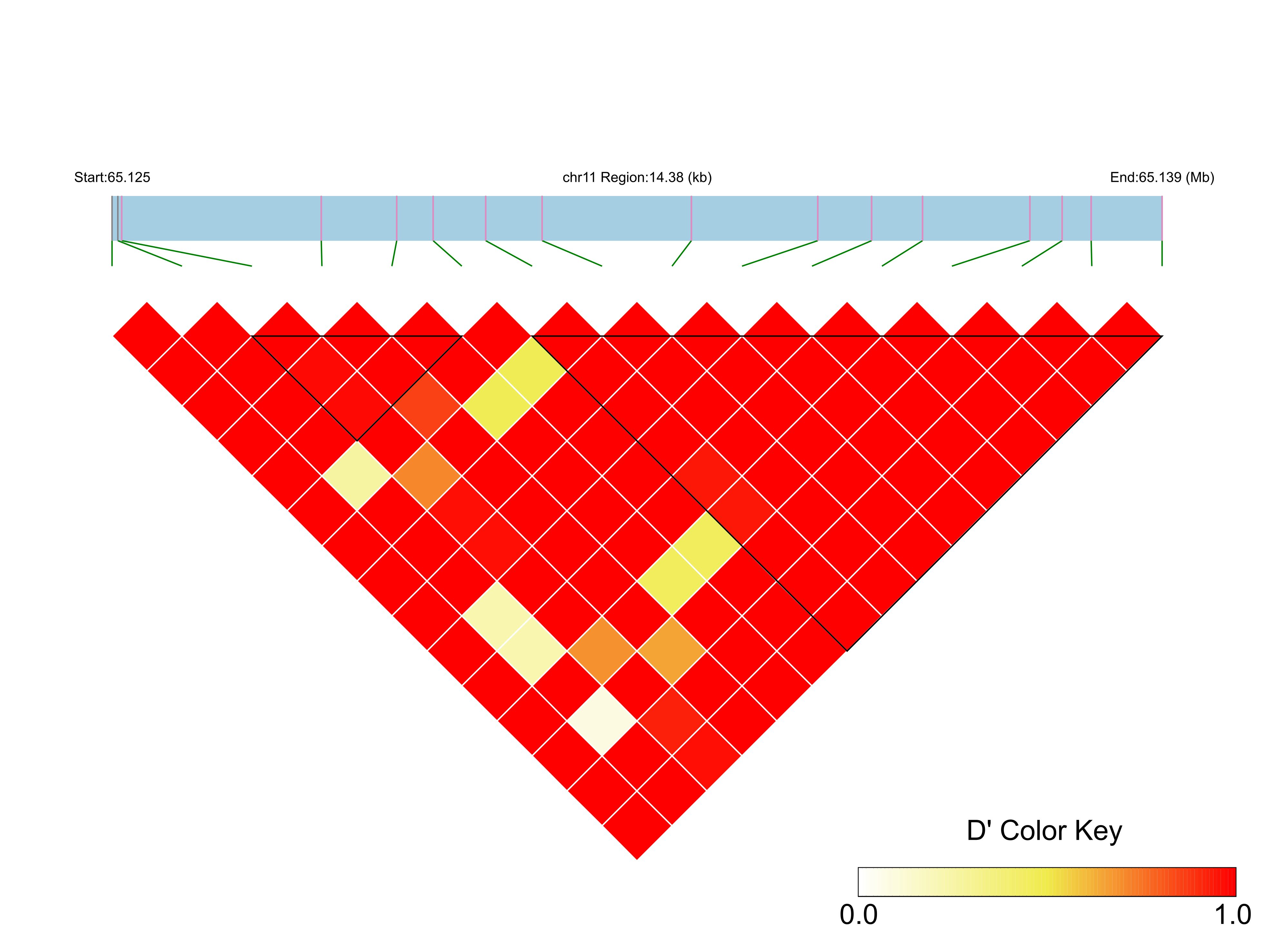 LD