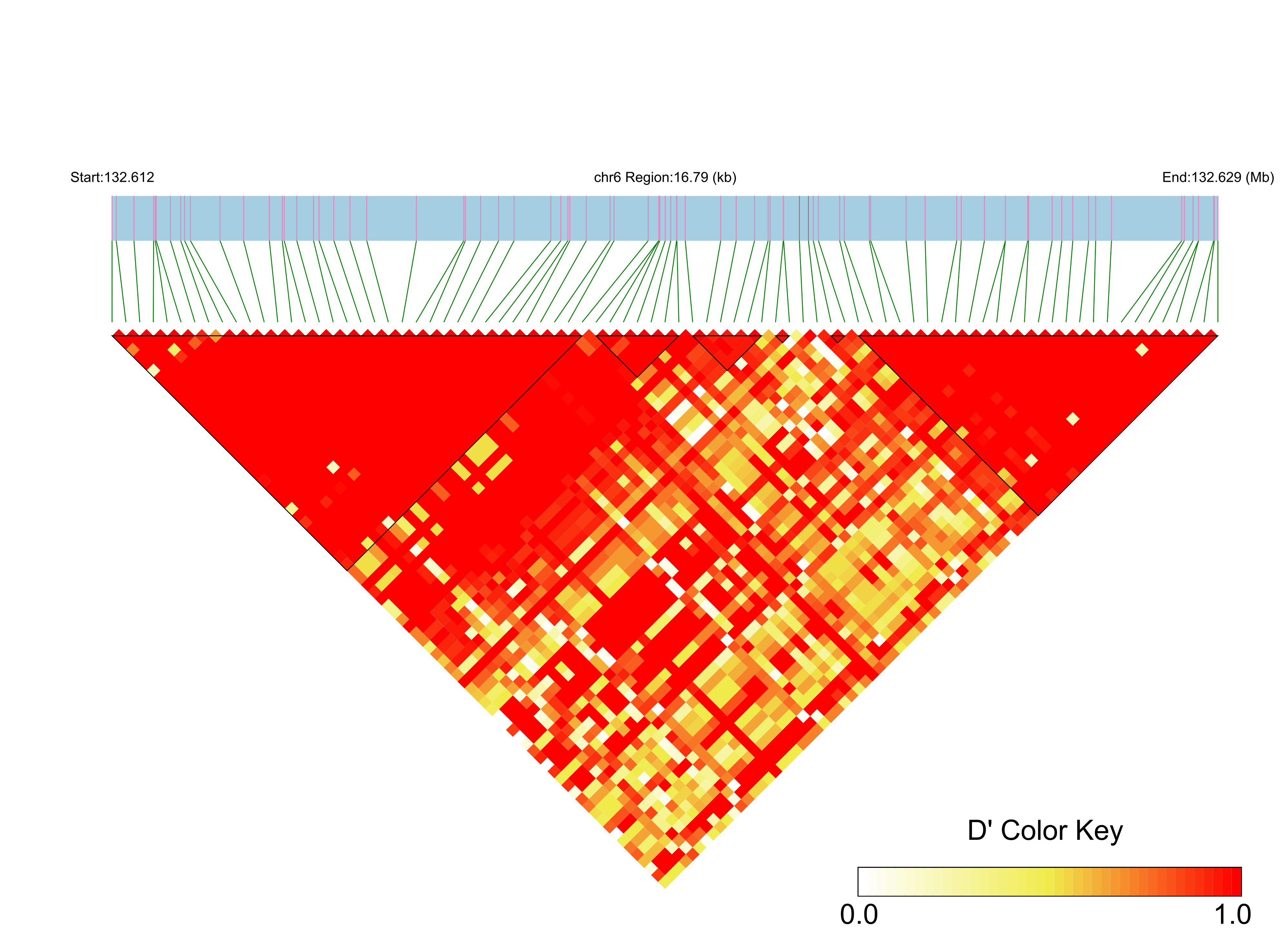 LD