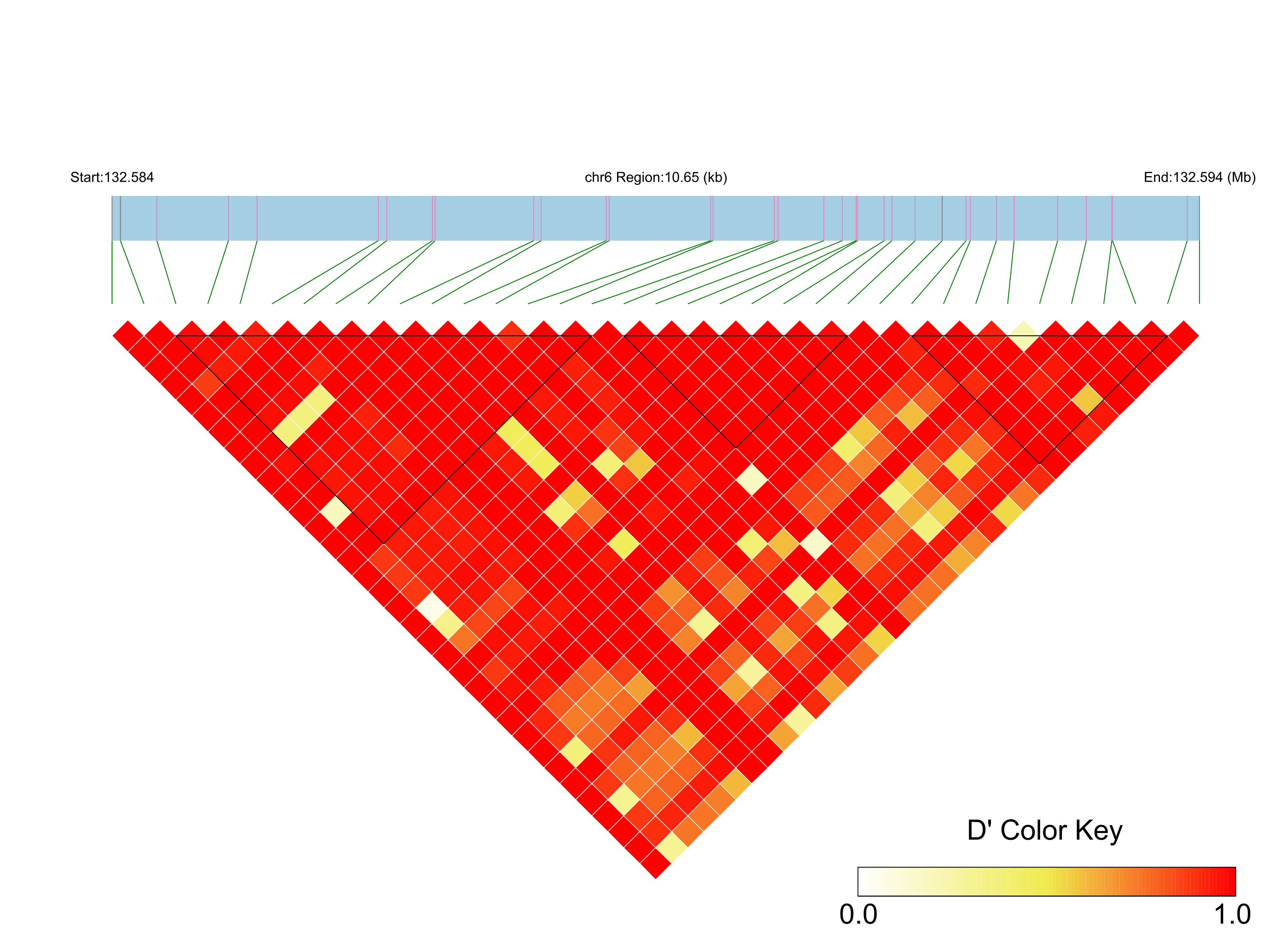 LD