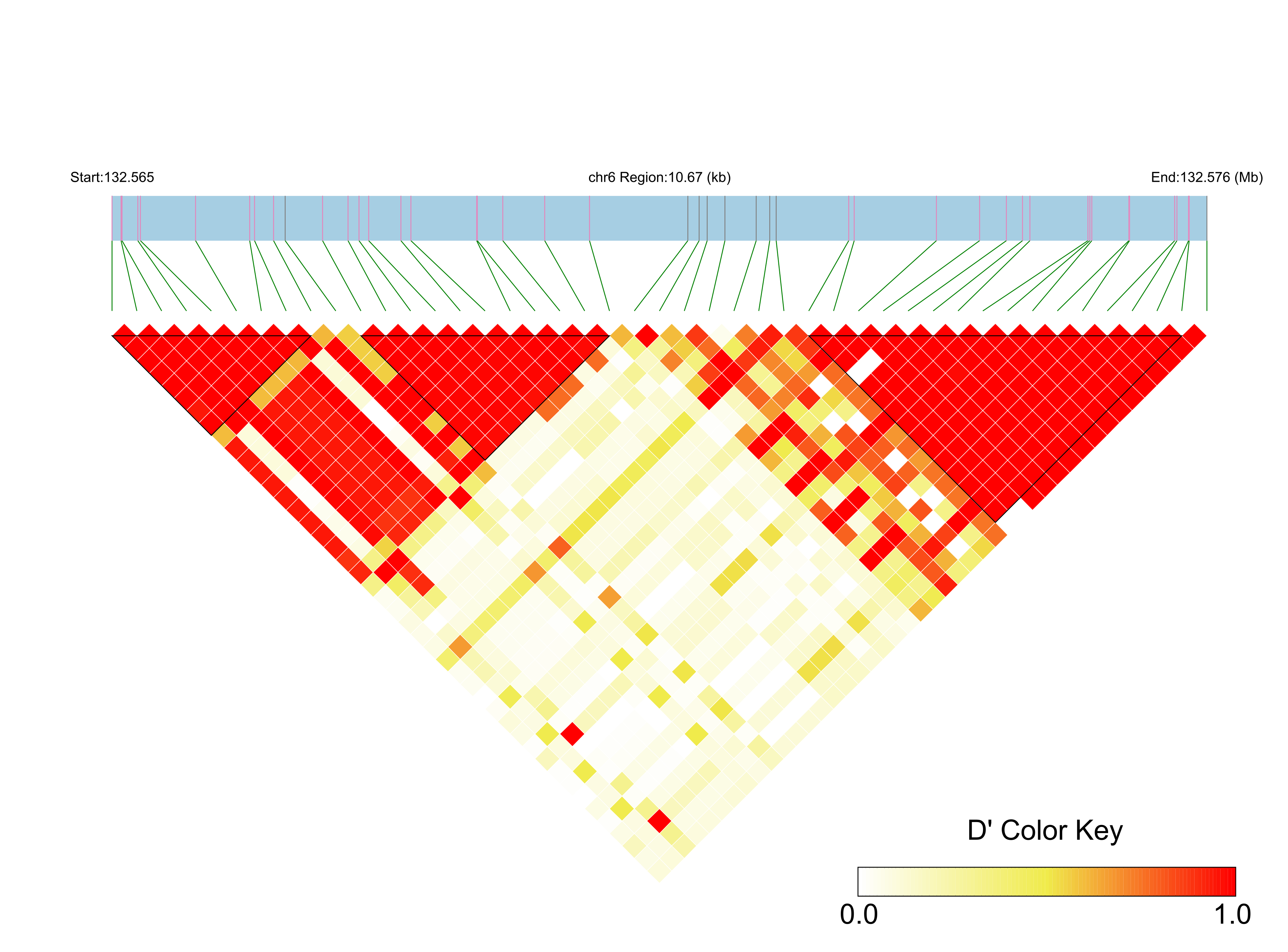 LD
