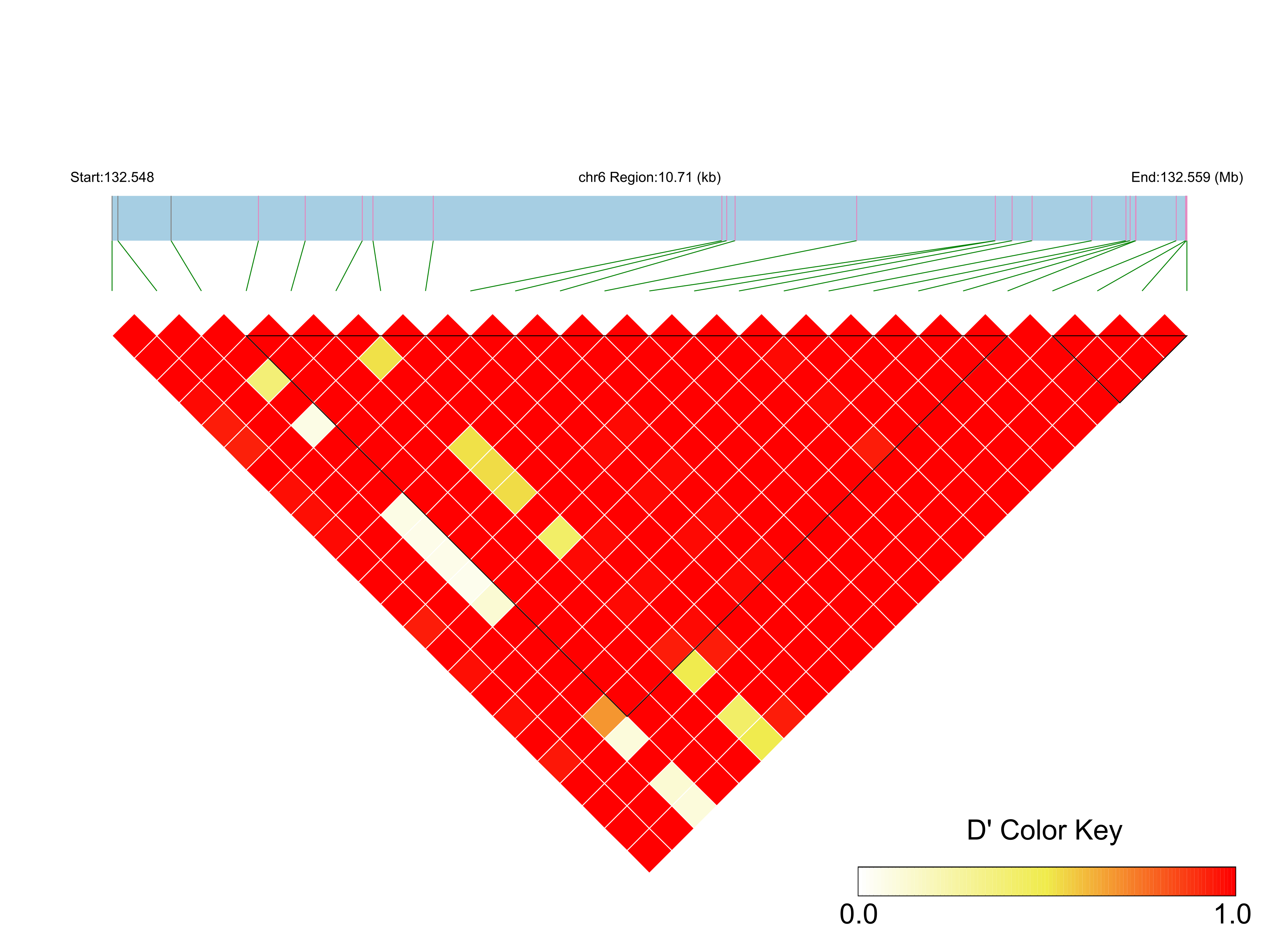 LD