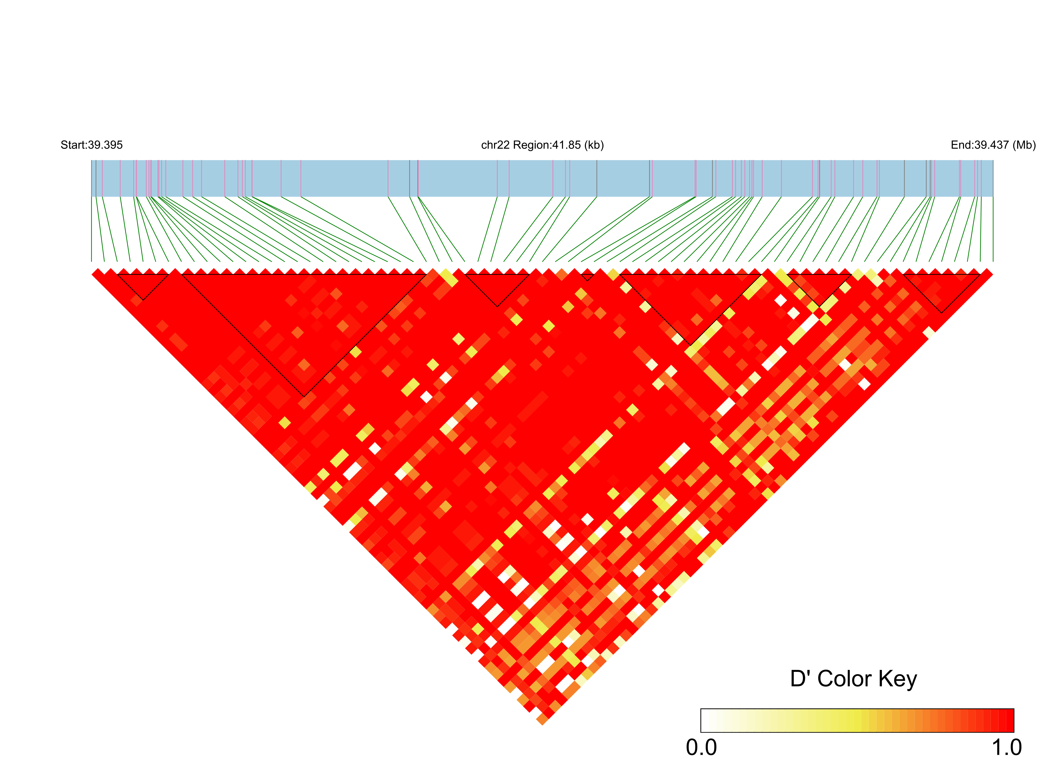 LD