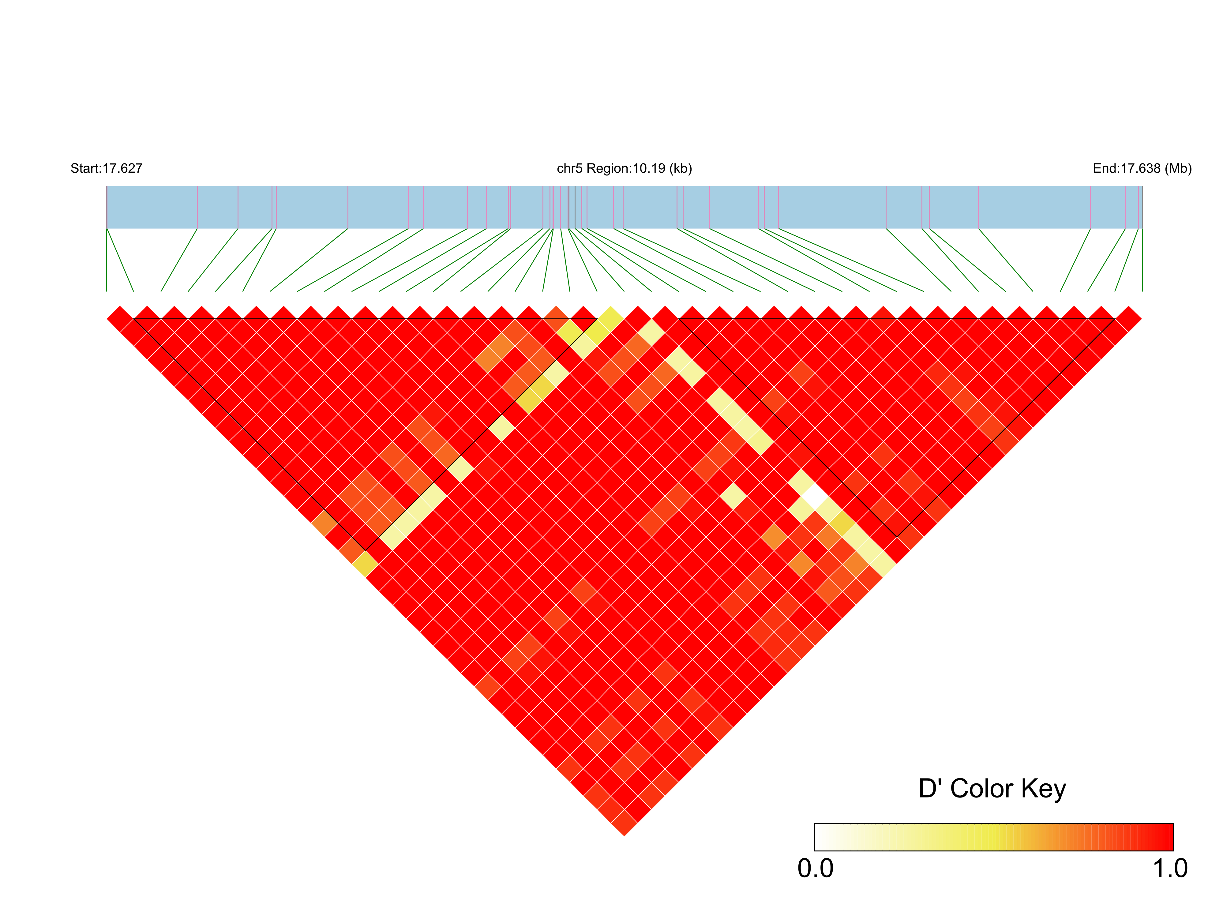 LD