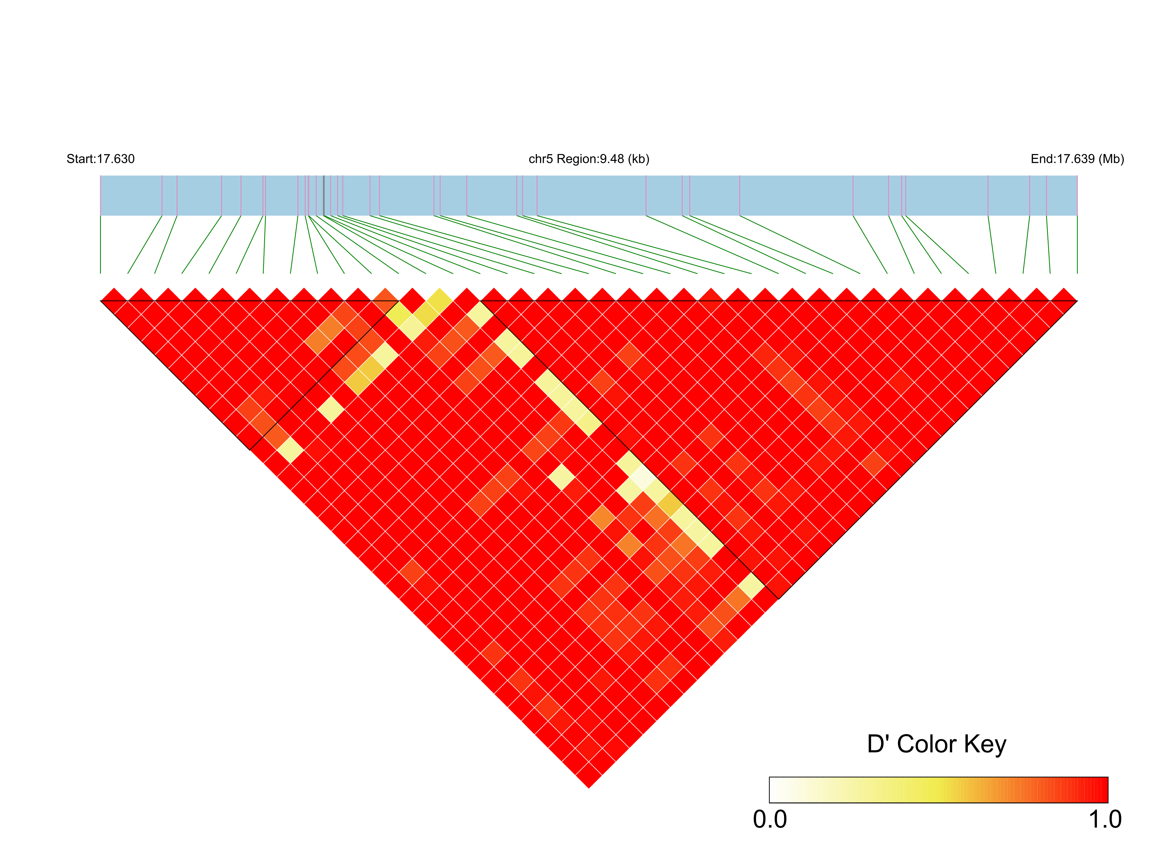 LD