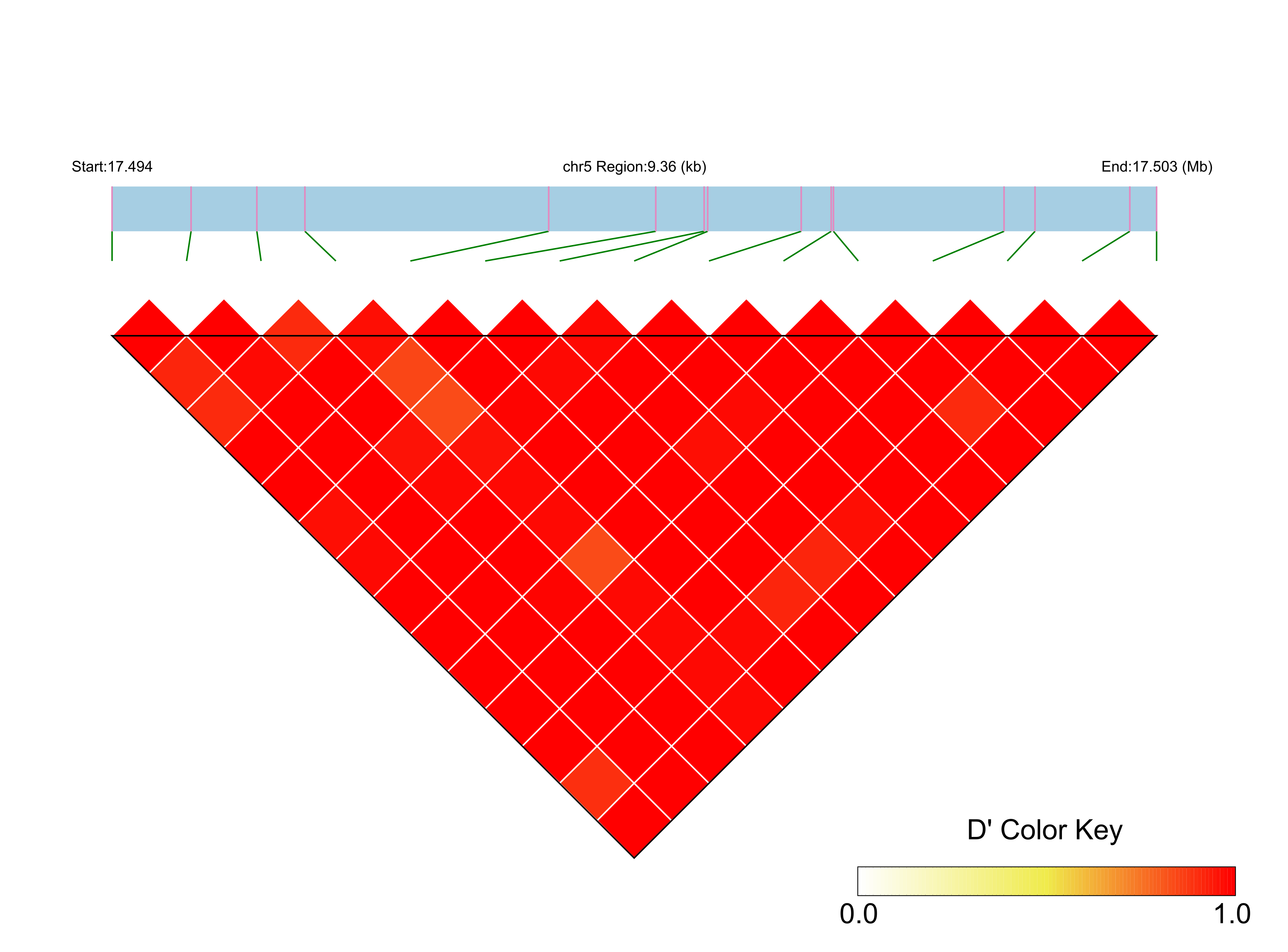 LD