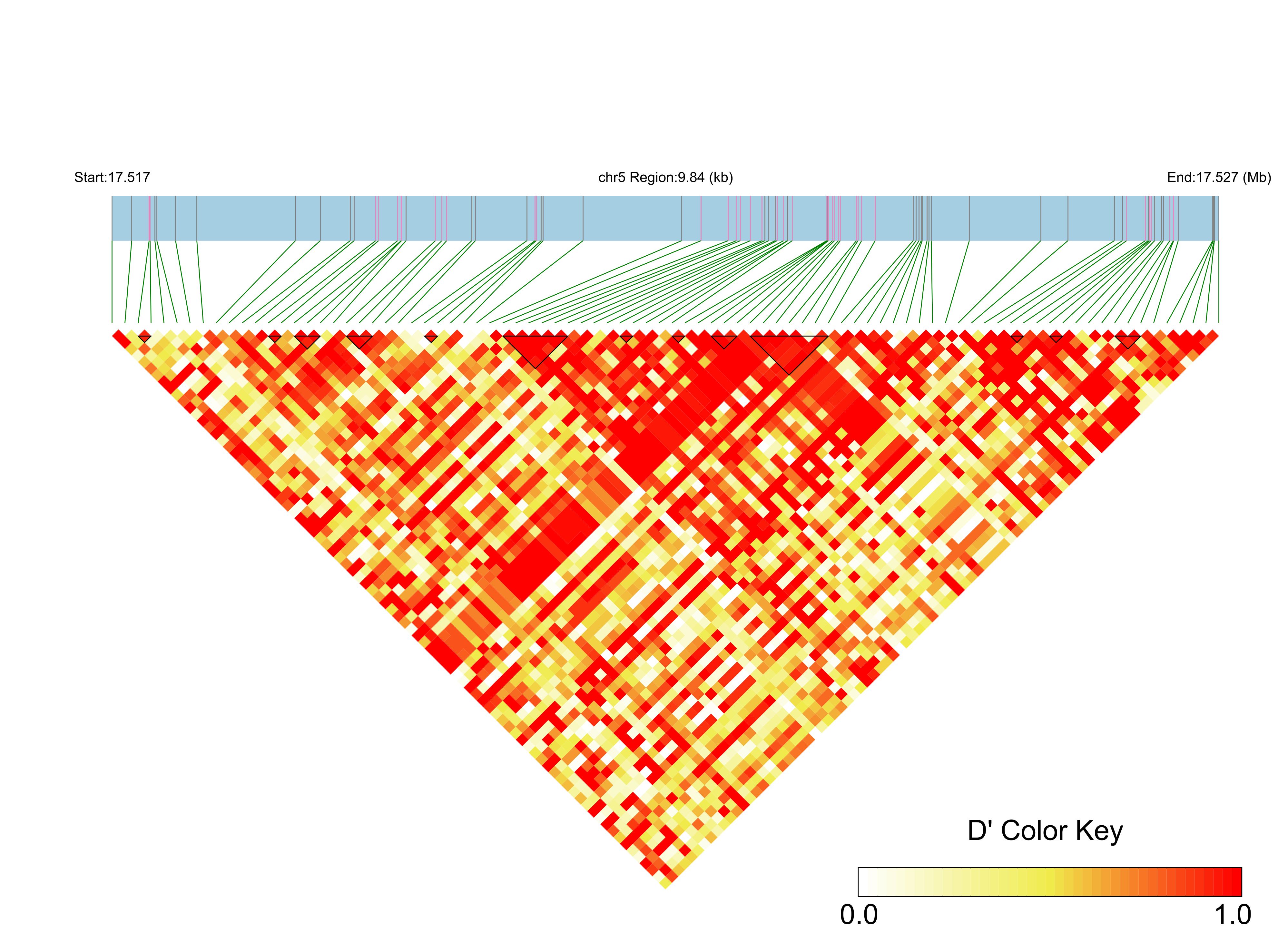LD