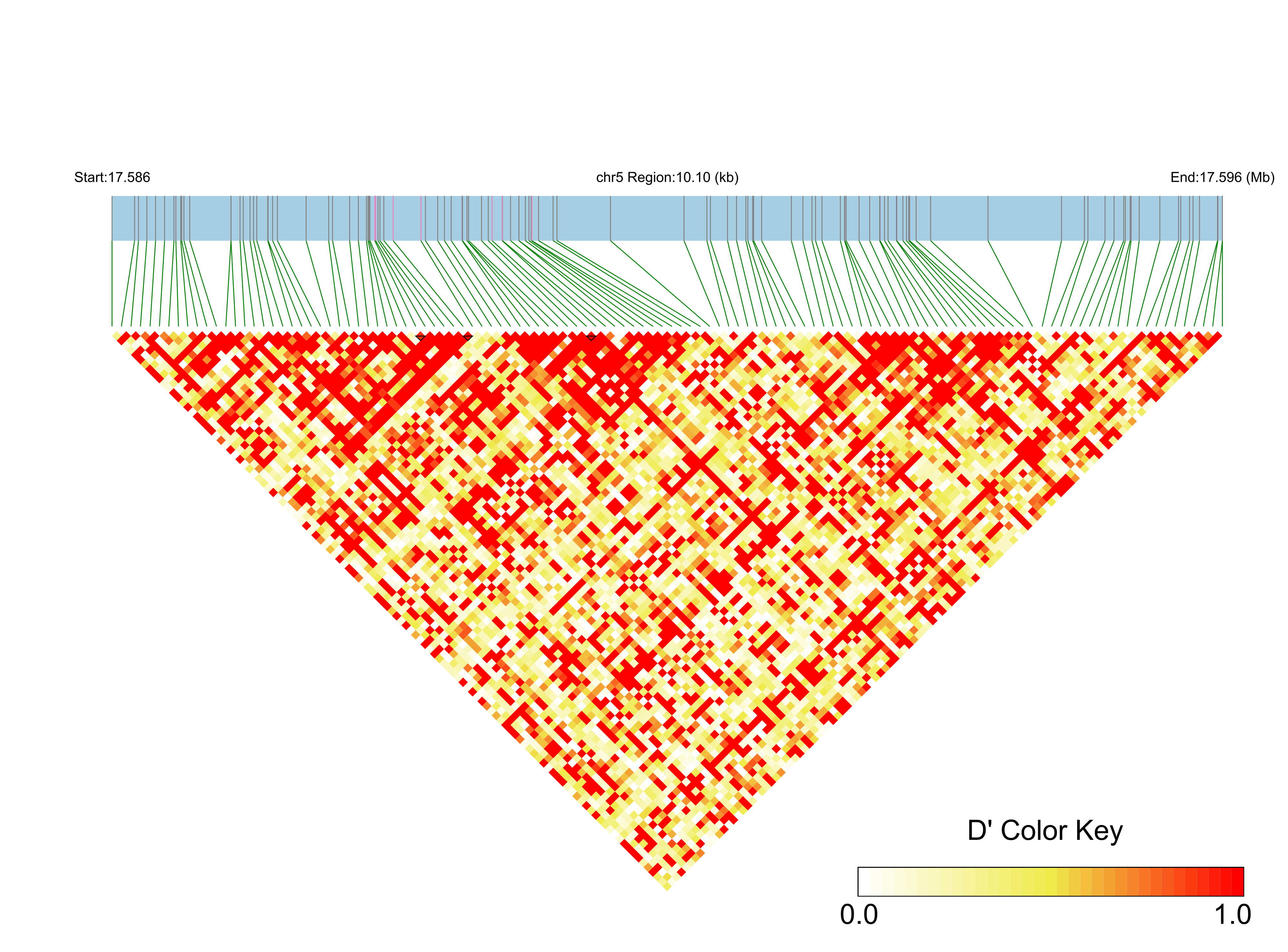 LD