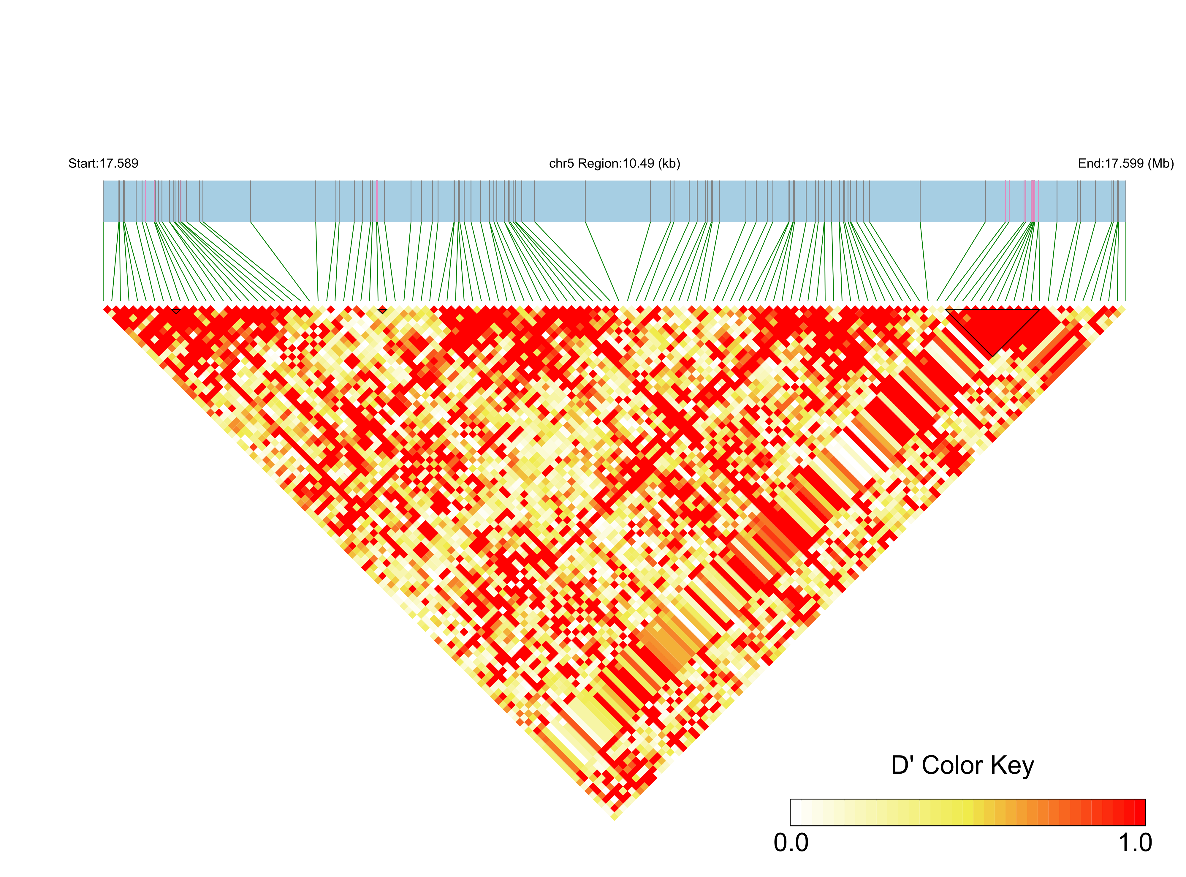 LD