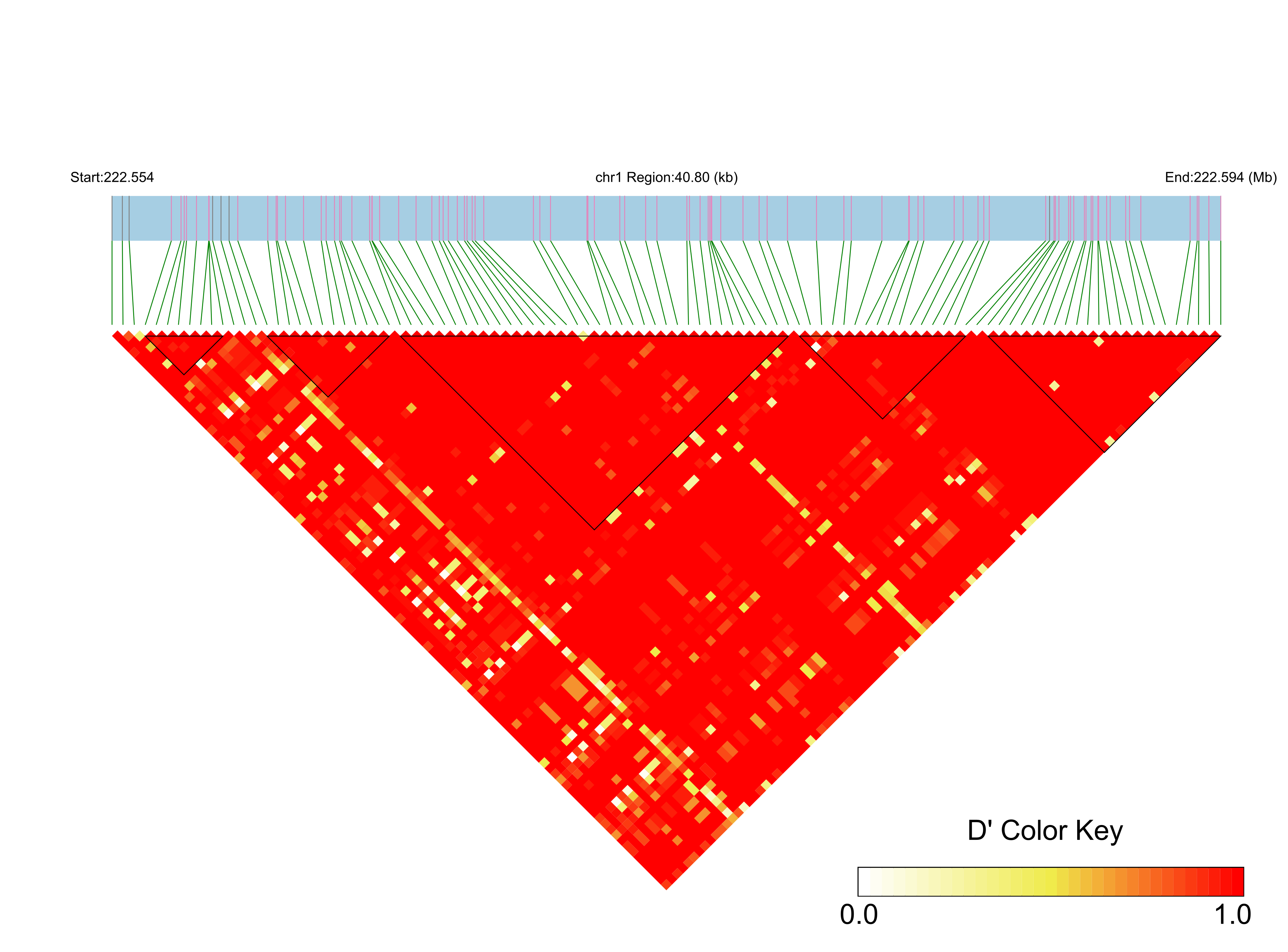 LD