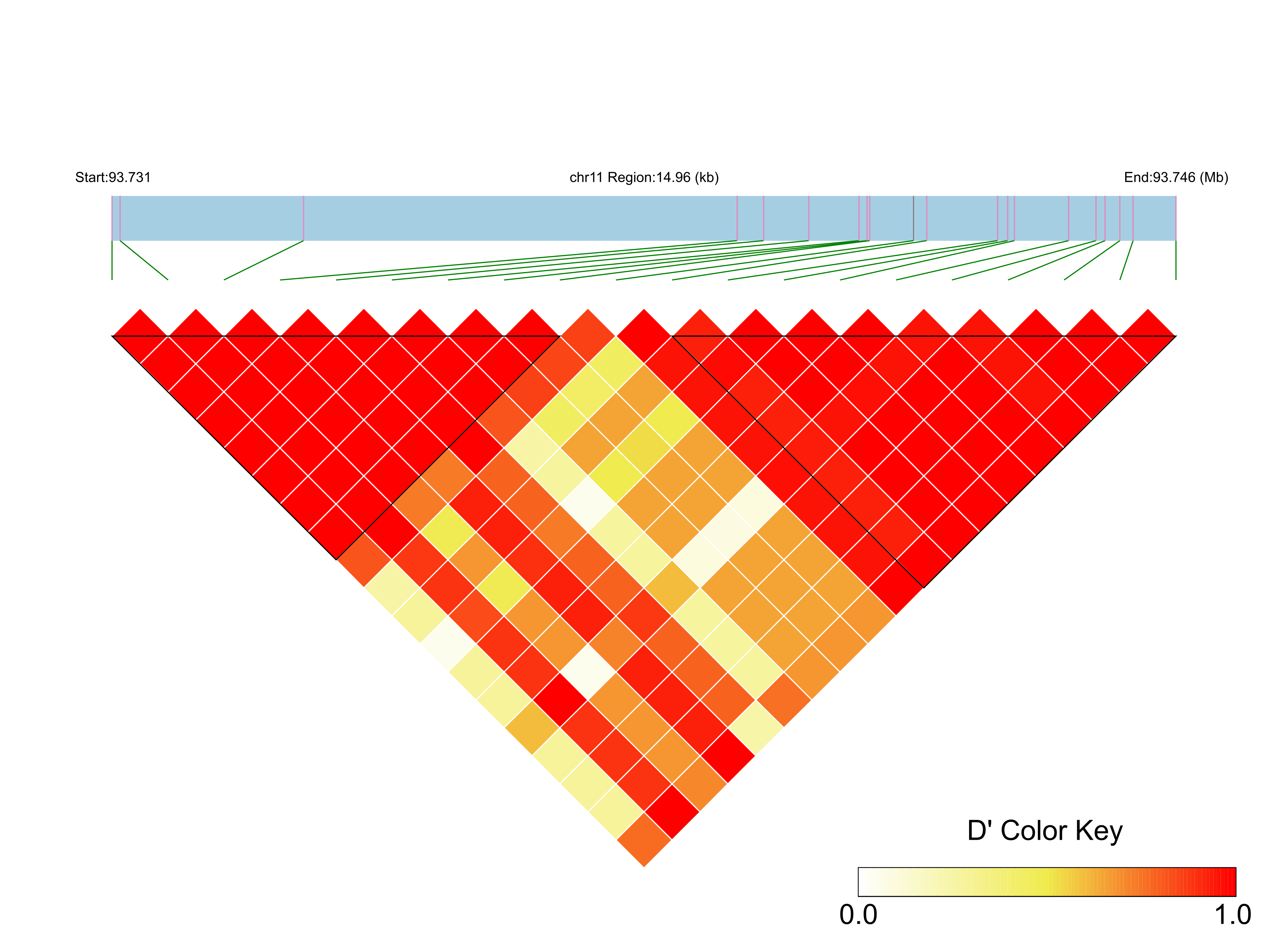 LD