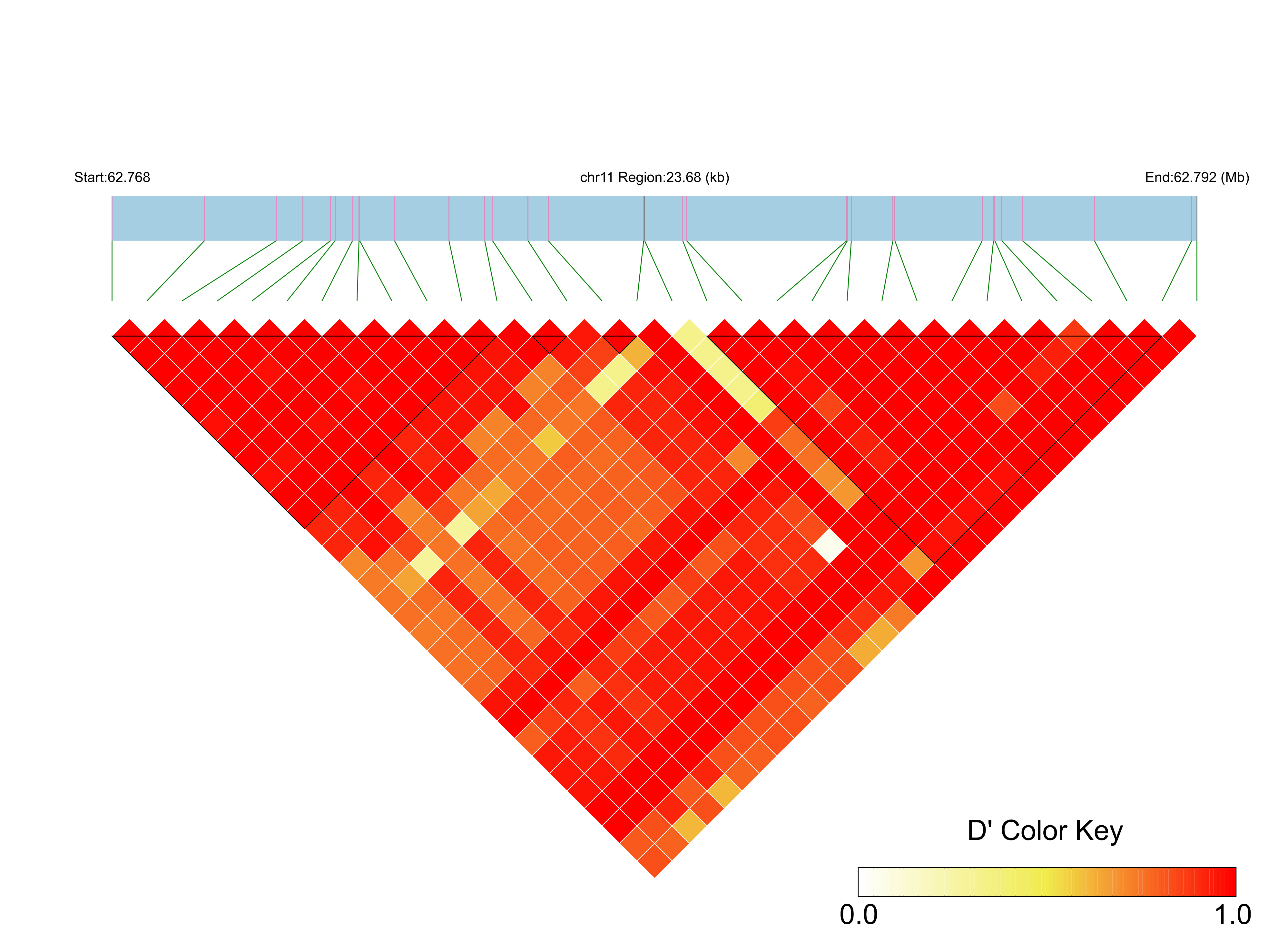 LD