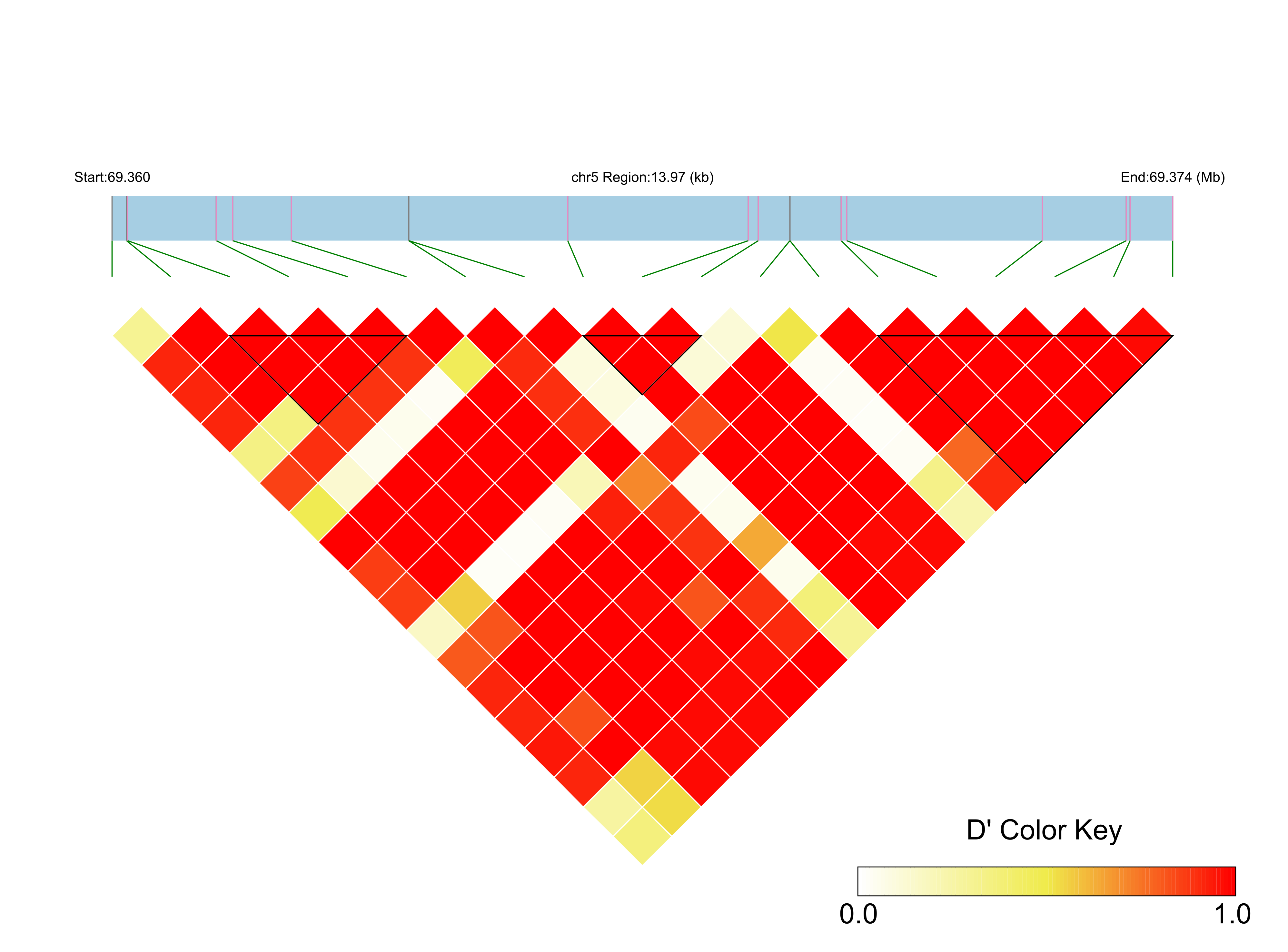 LD