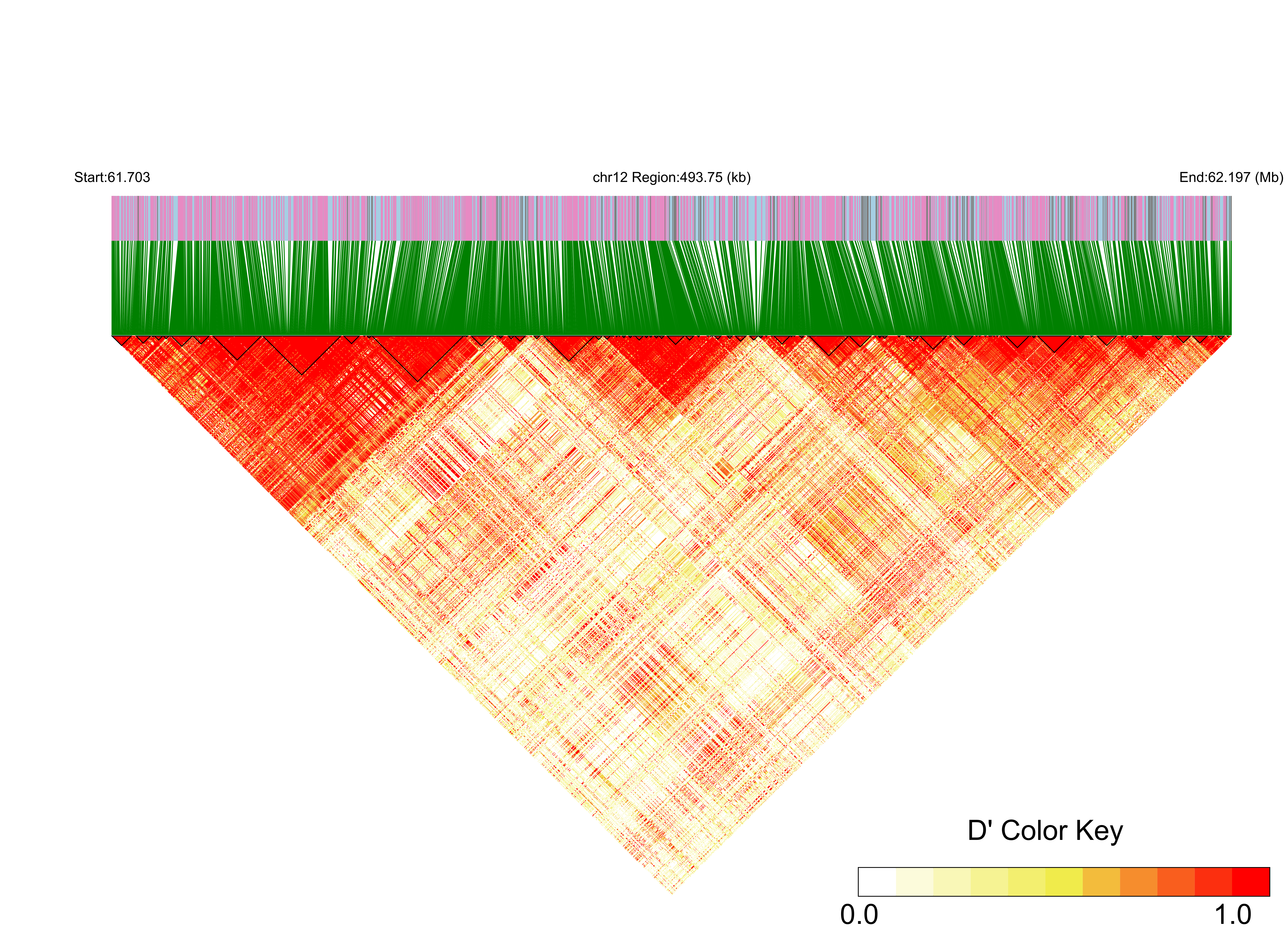 LD