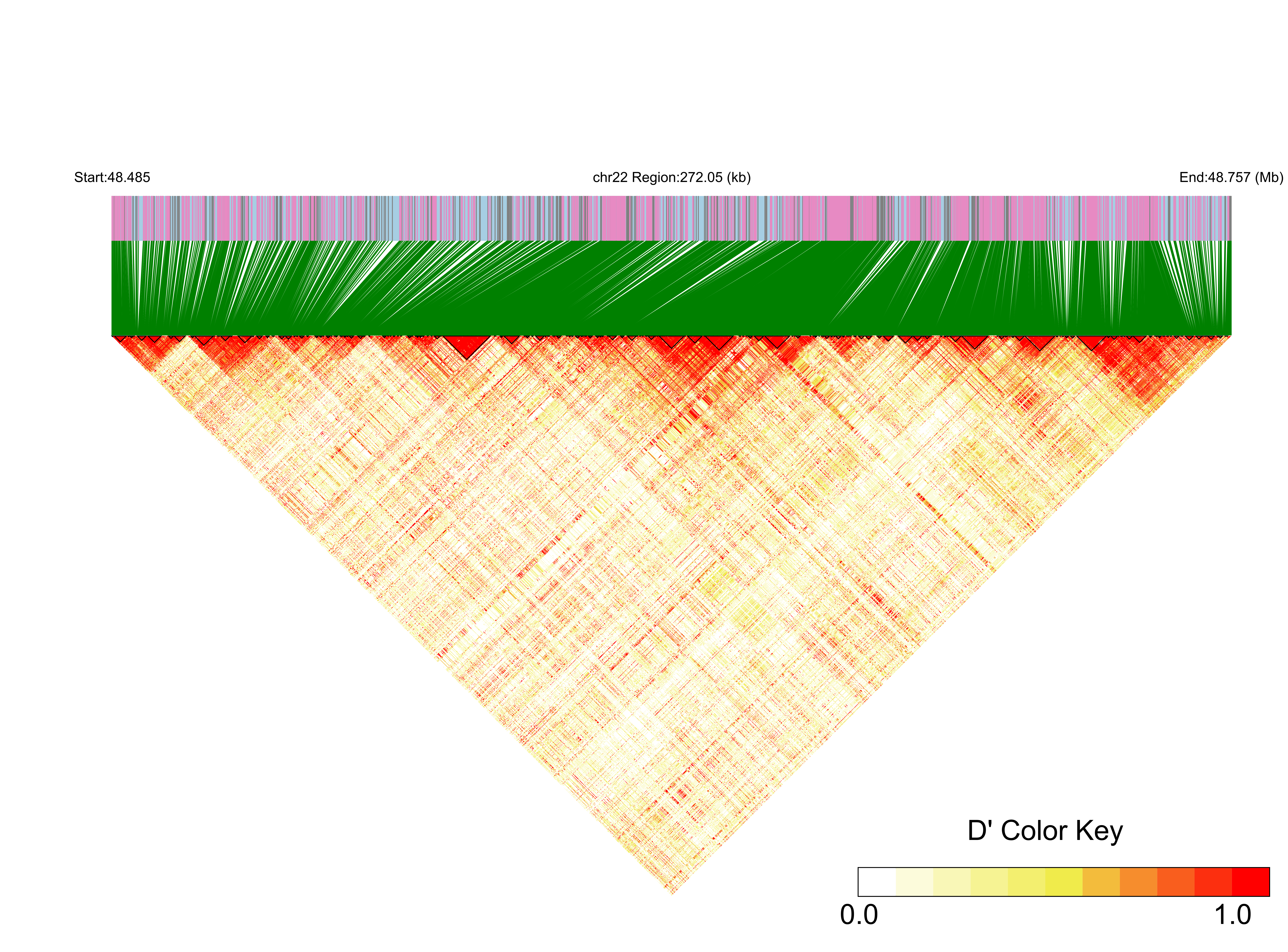 LD