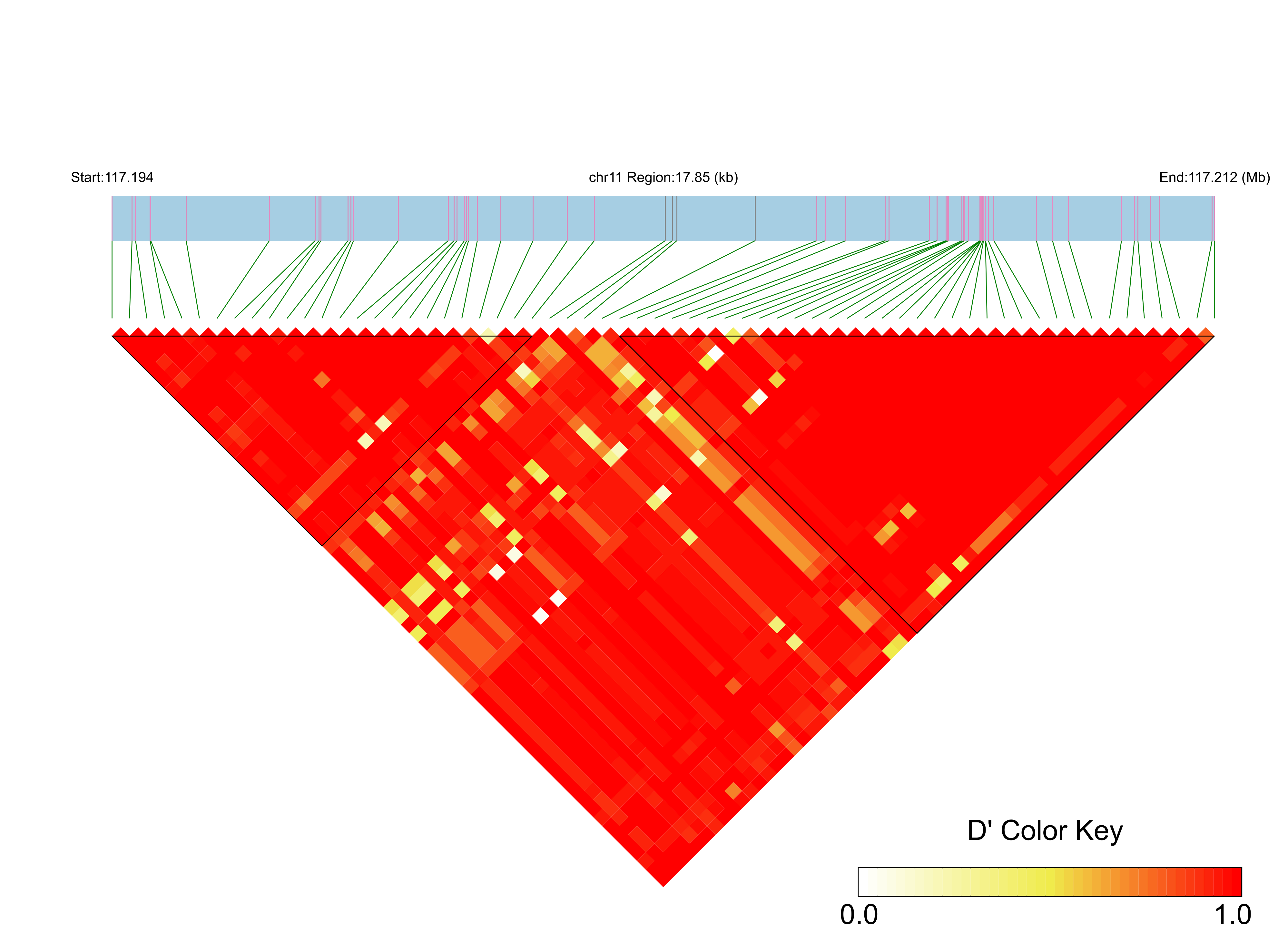 LD