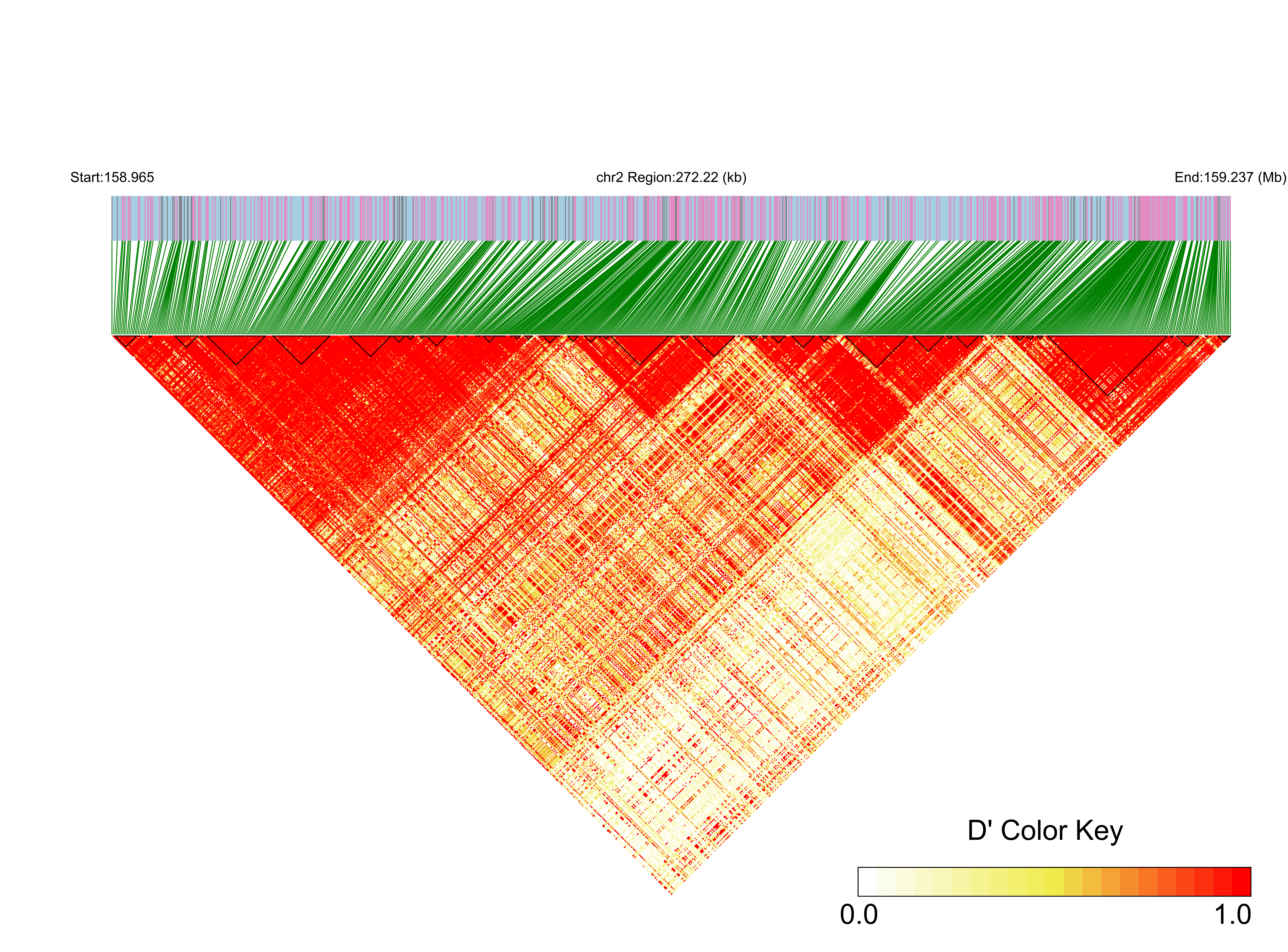 LD