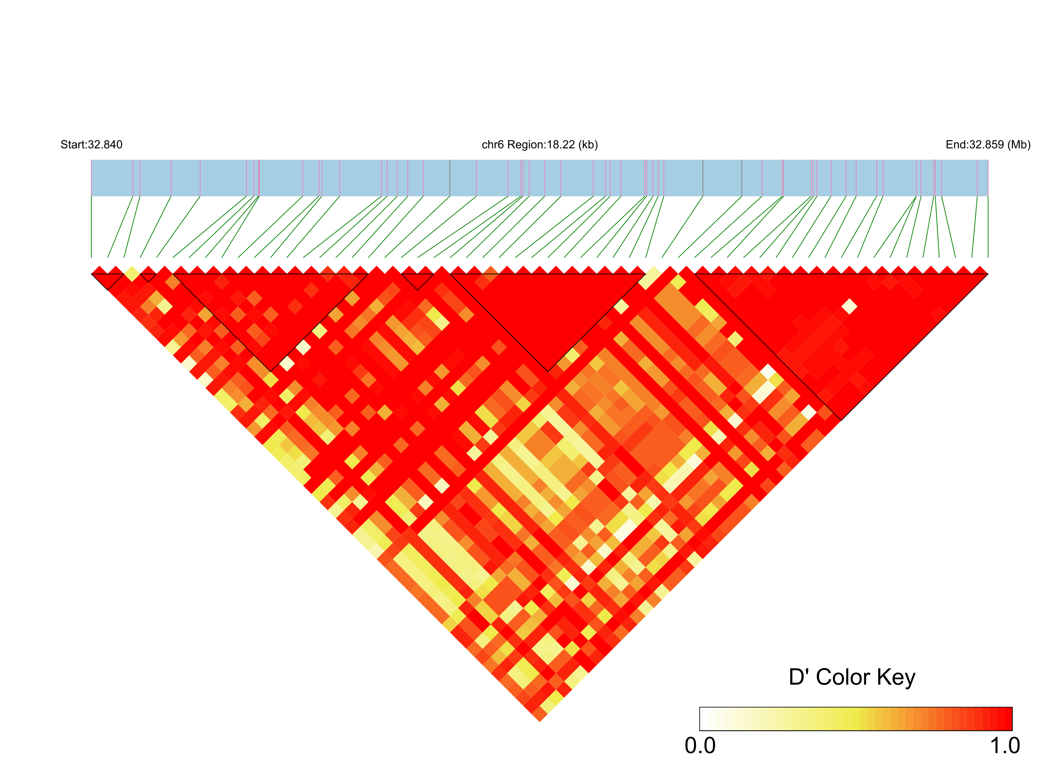 LD