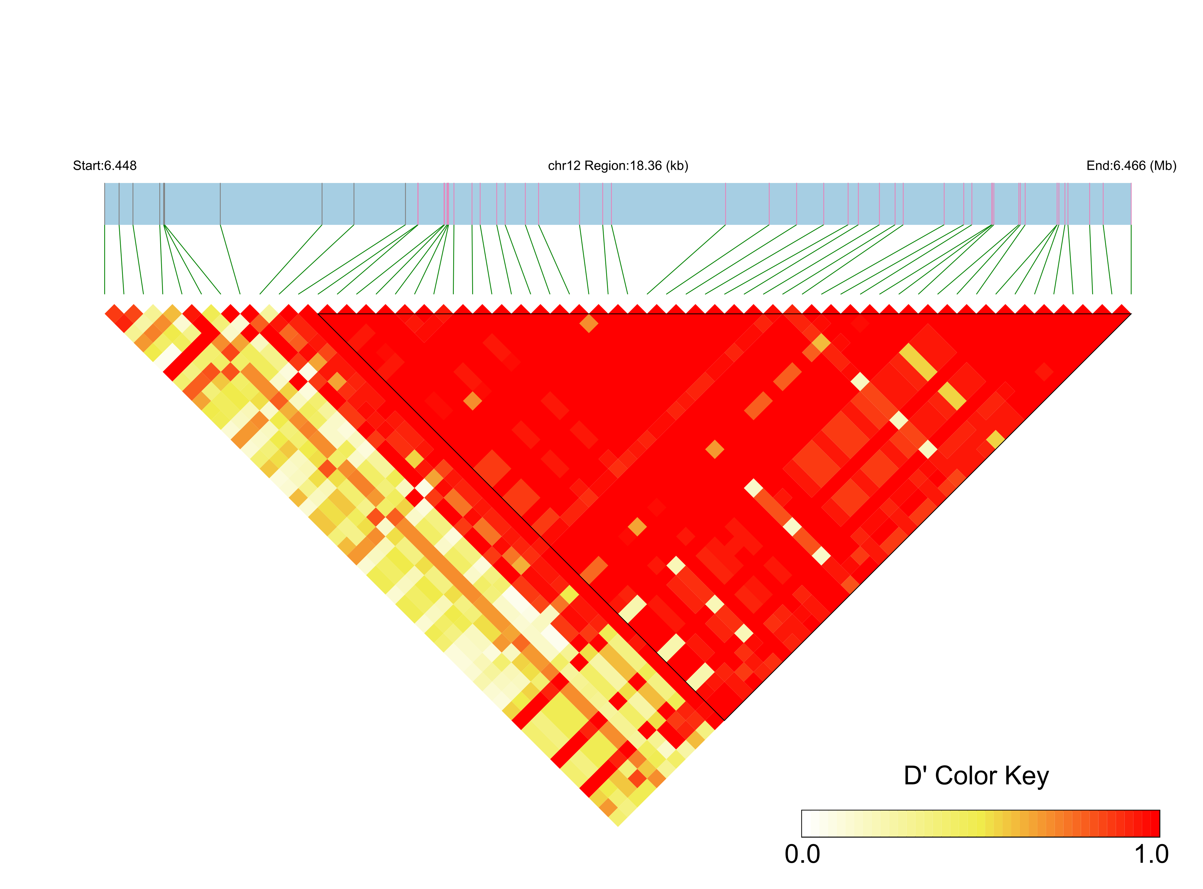 LD