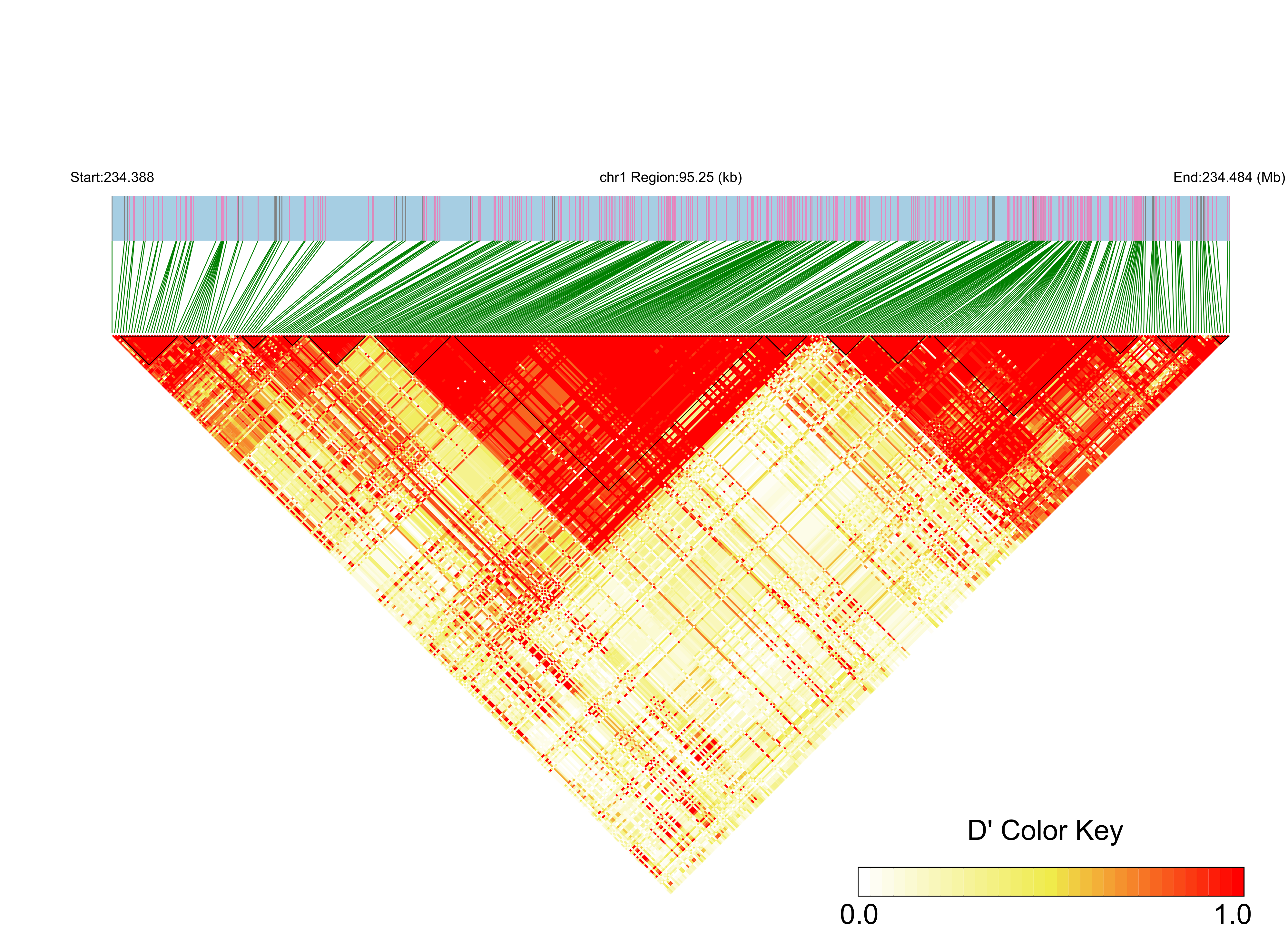 LD