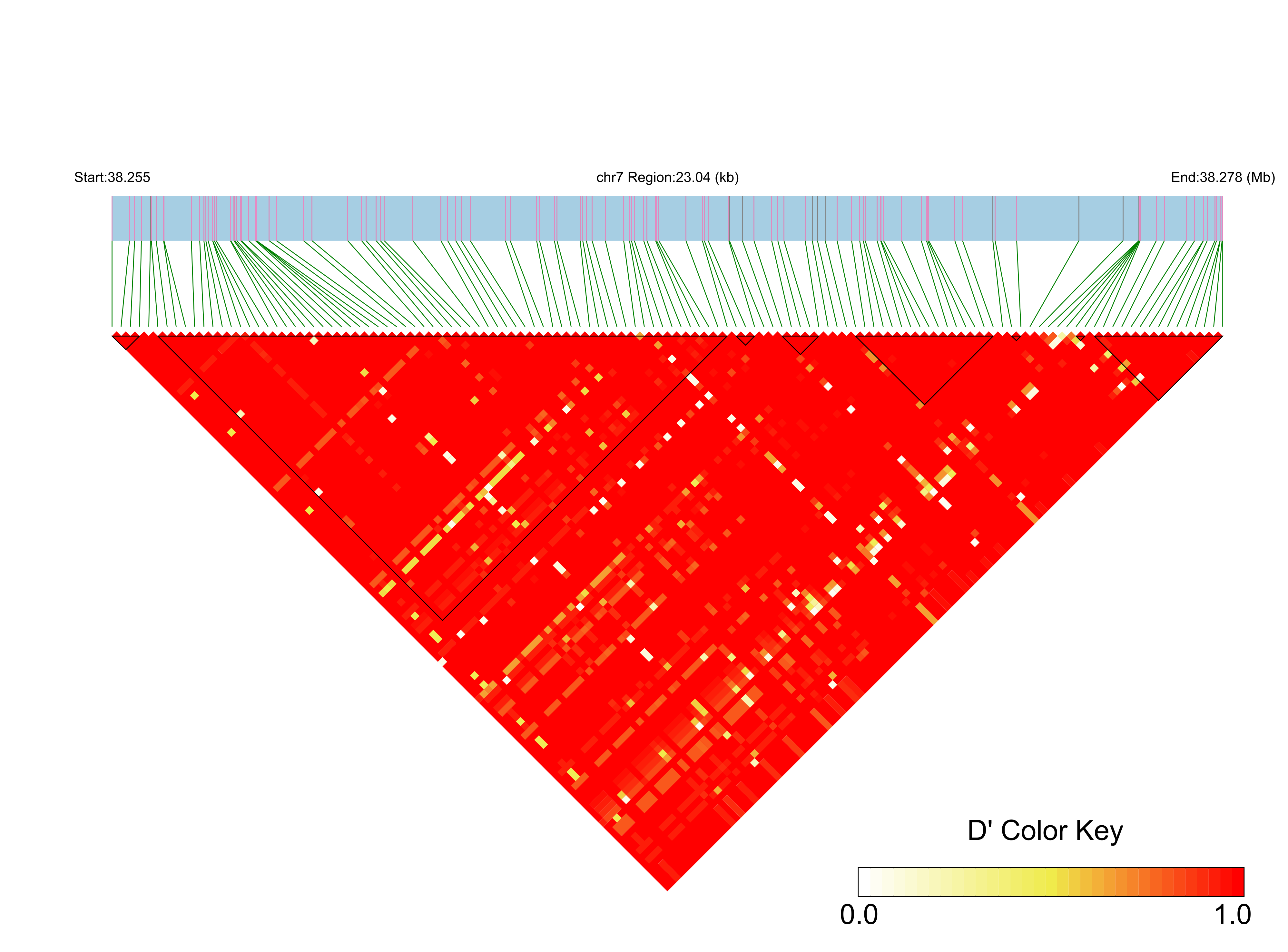 LD