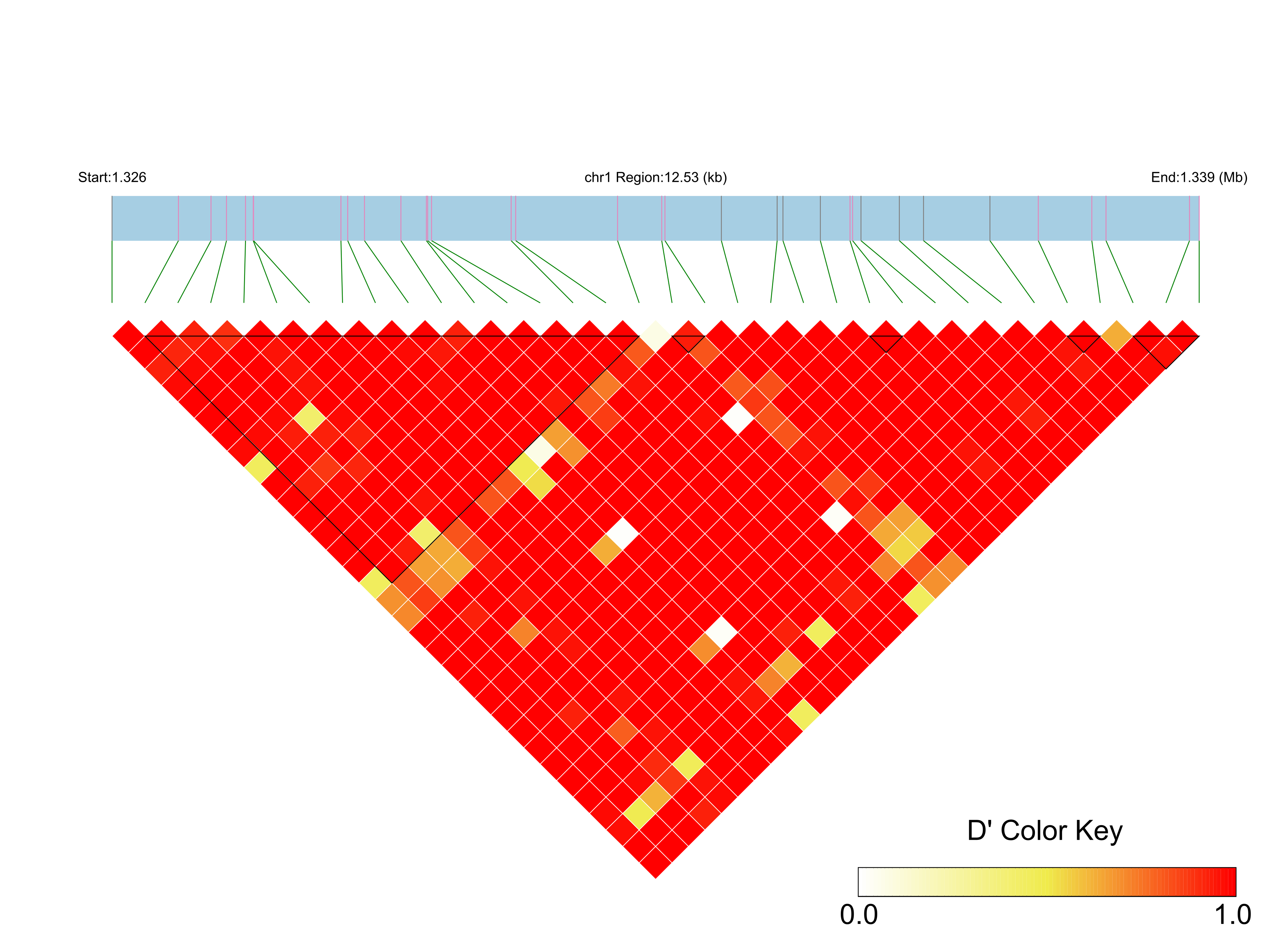 LD