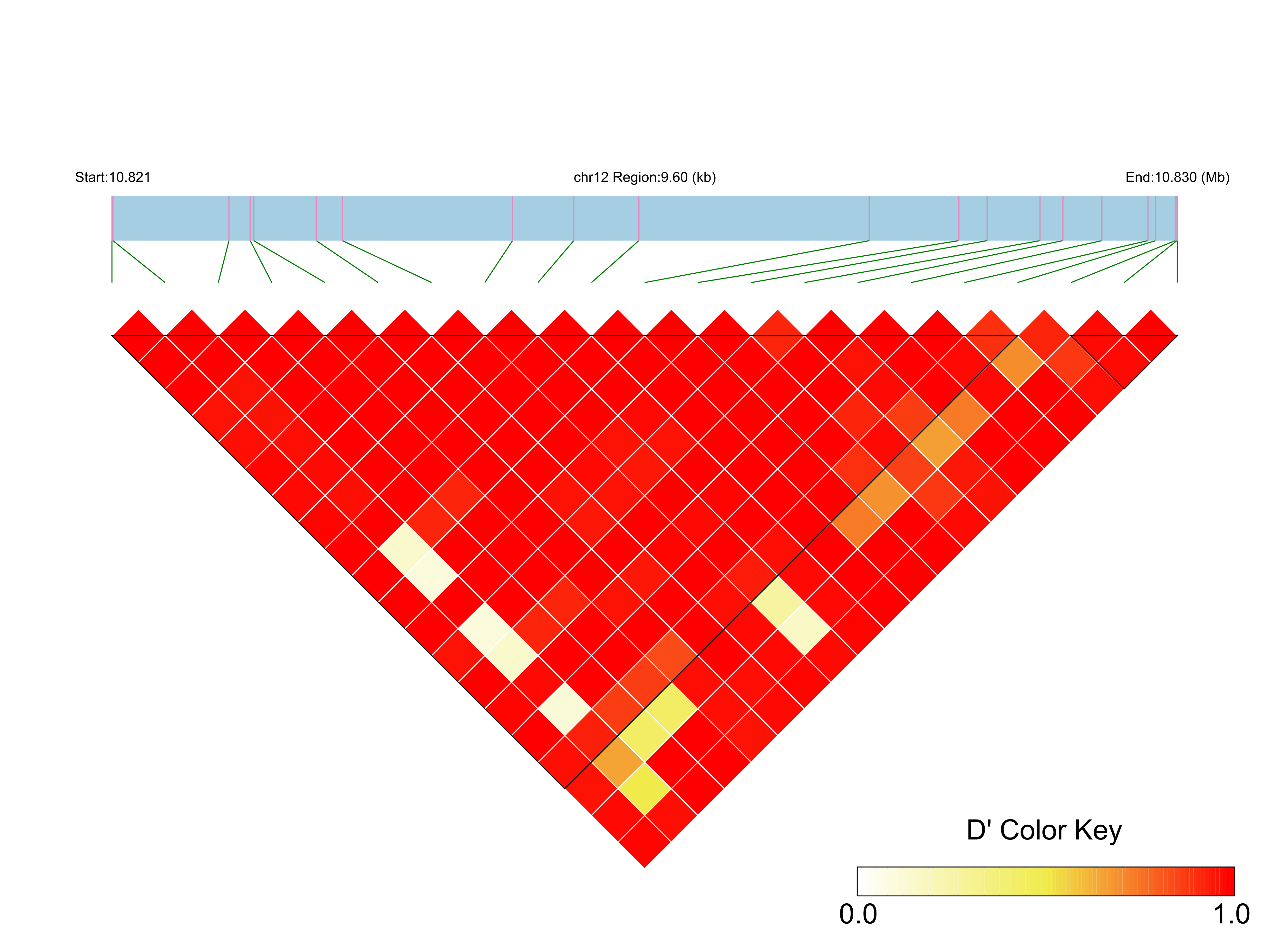 LD